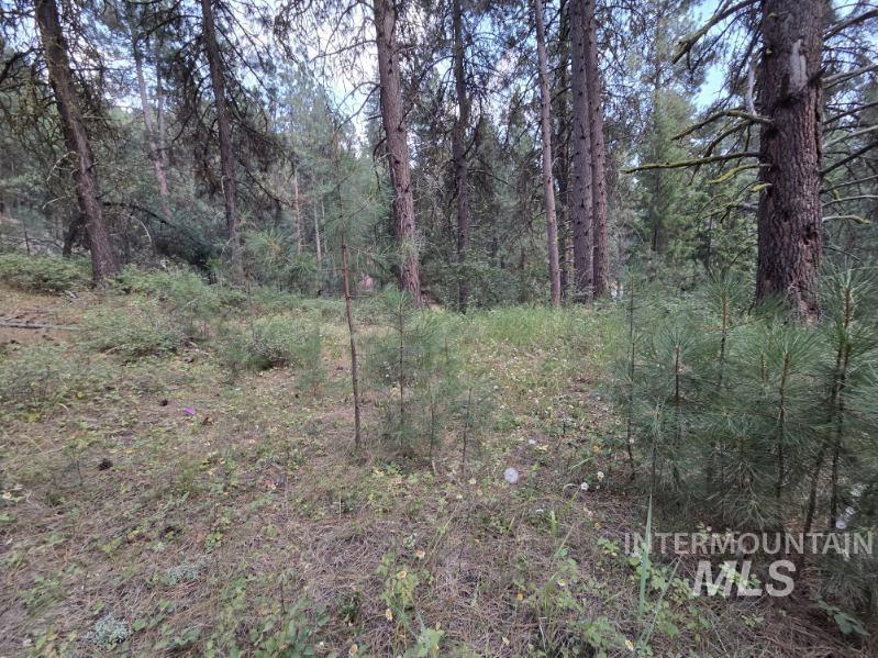 1291 Crown Point Pkwy Property Photo 13