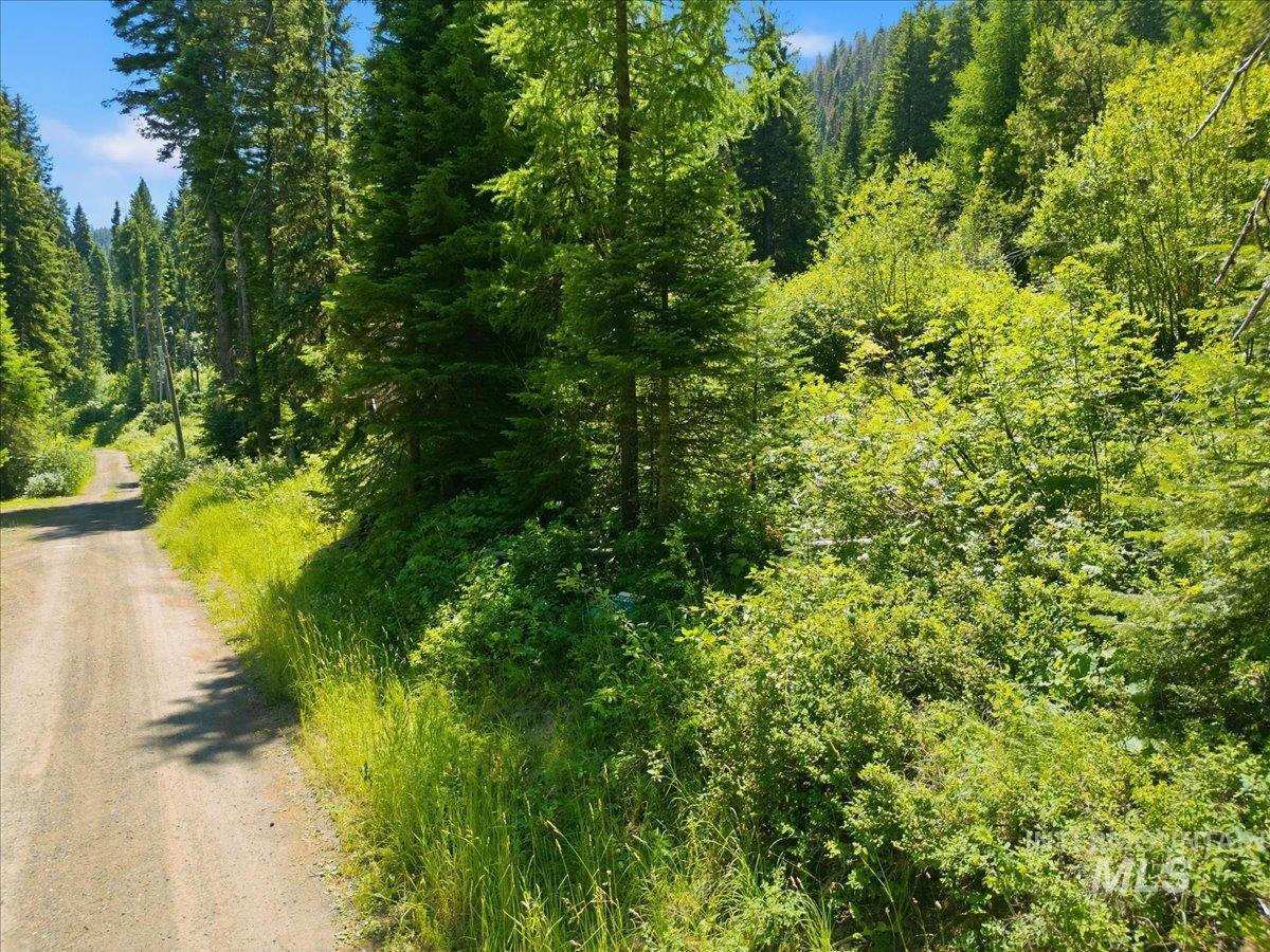 2437 Maverick Road Property Photo 2