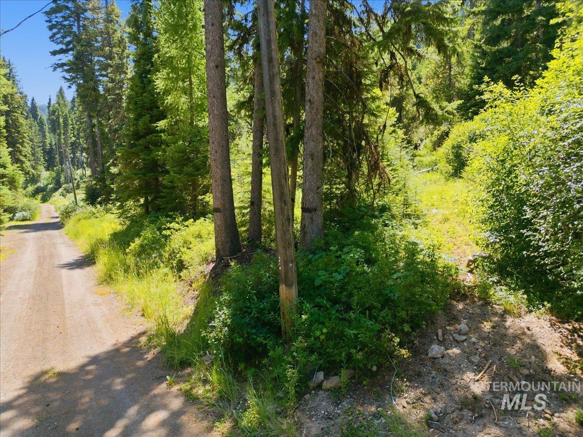 2437 Maverick Road Property Photo 13