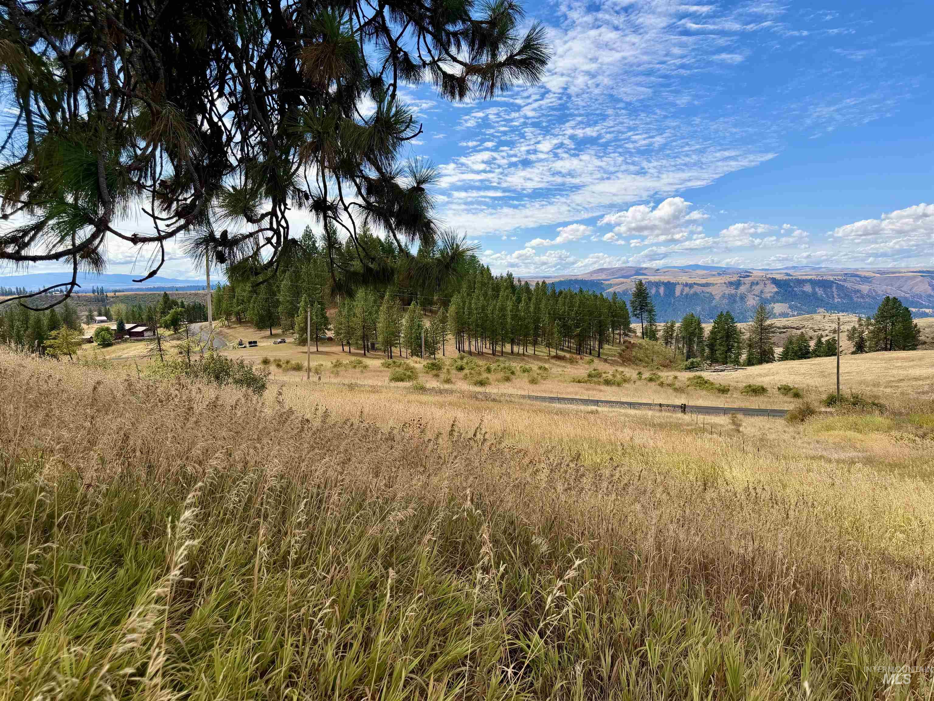 1003 Beaverslide Road Property Photo 1