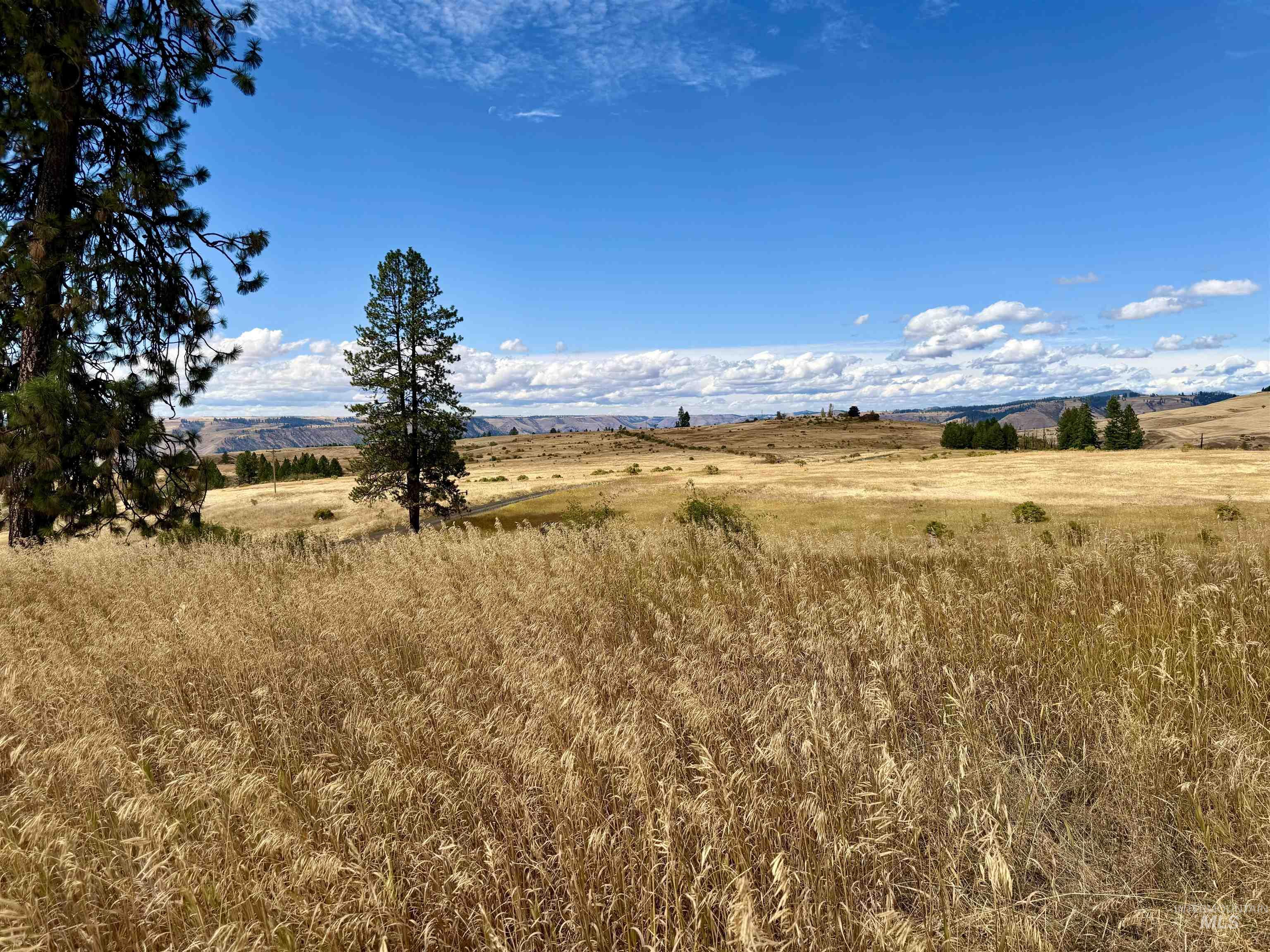 1003 Beaverslide Road Property Photo 5
