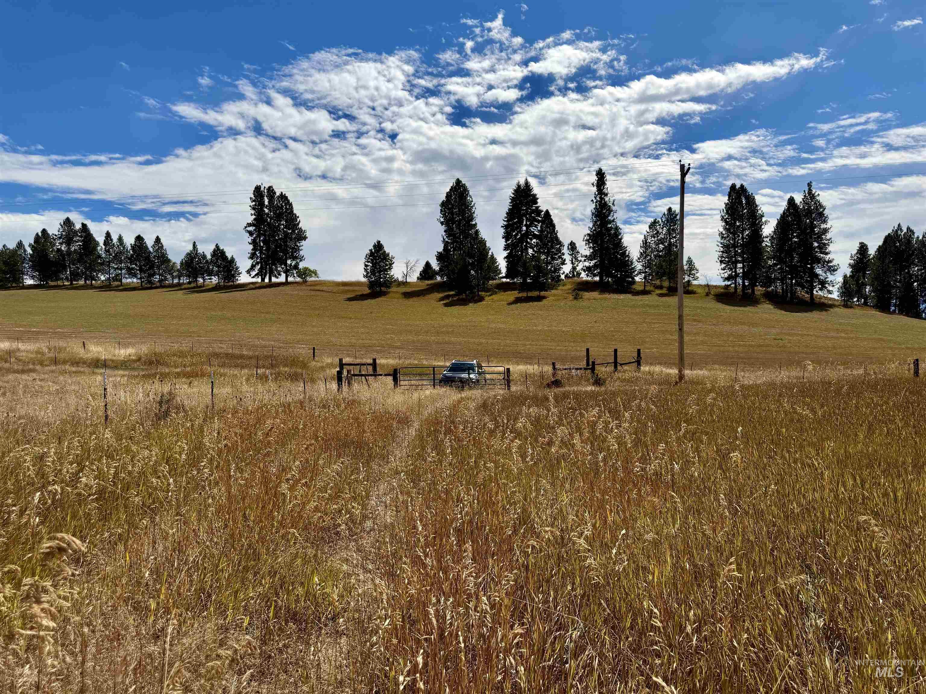 1003 Beaverslide Road Property Photo 16