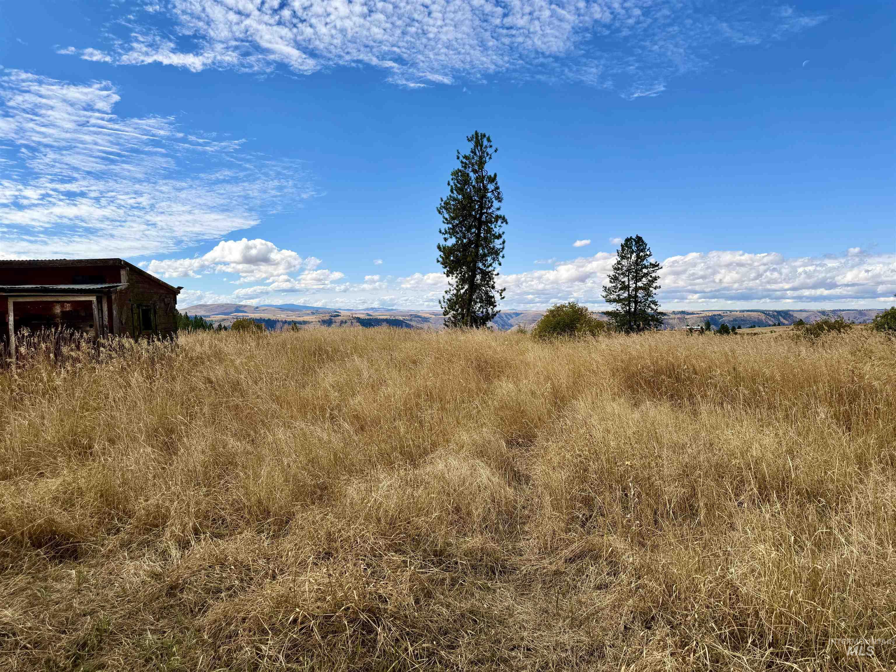 1003 Beaverslide Road Property Photo 18