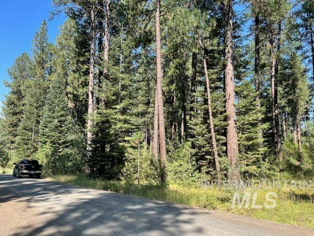 14 Black Bear Subdivision Property Photo 1