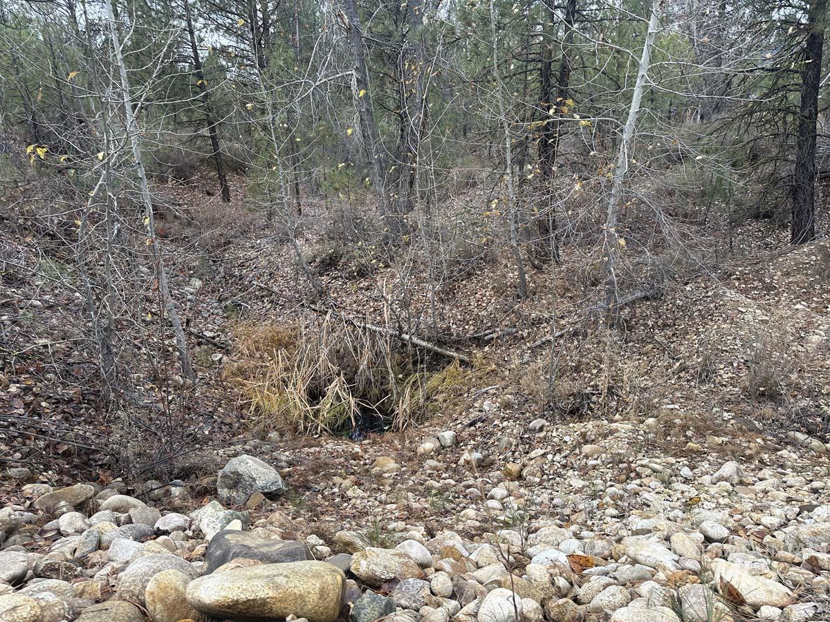 L51 Lily Loop Property Photo 3