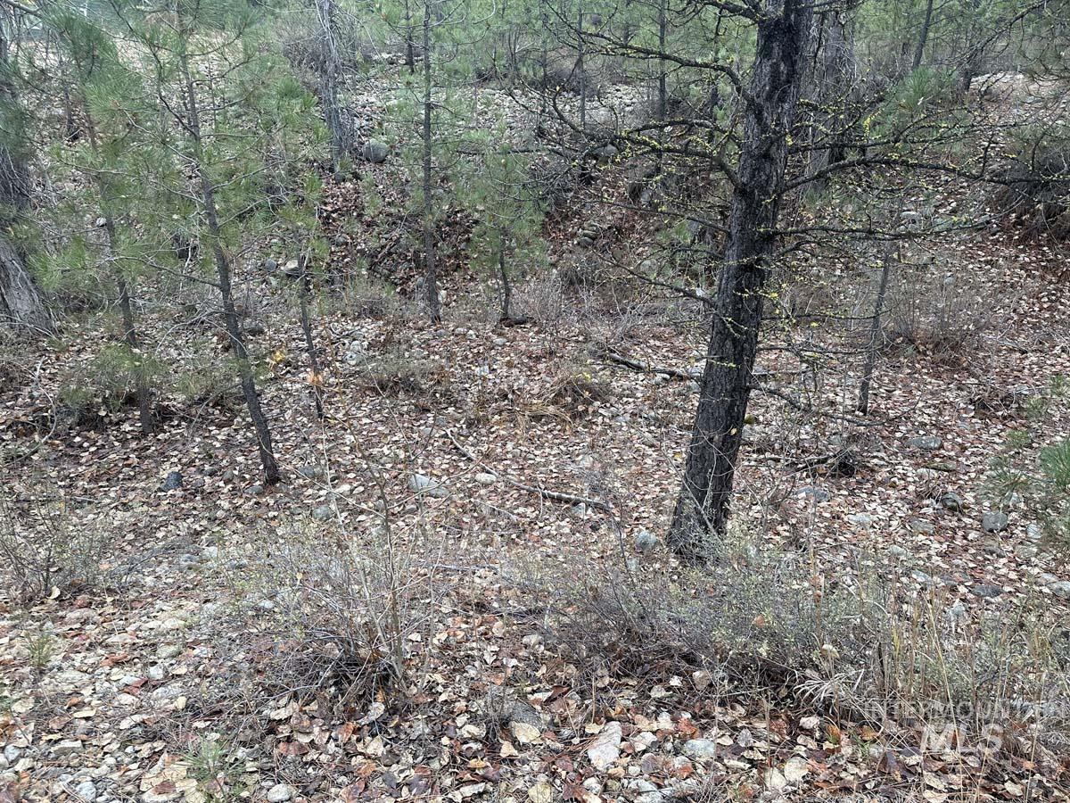 L51 Lily Loop Property Photo 4