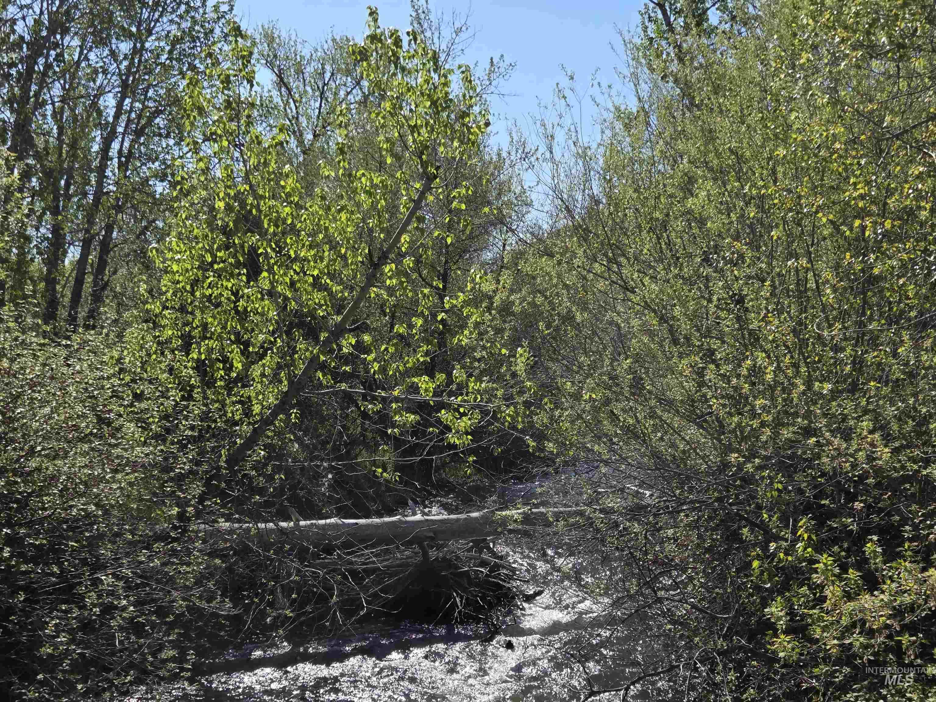 2205 Jackson Creek Rd Property Photo 34