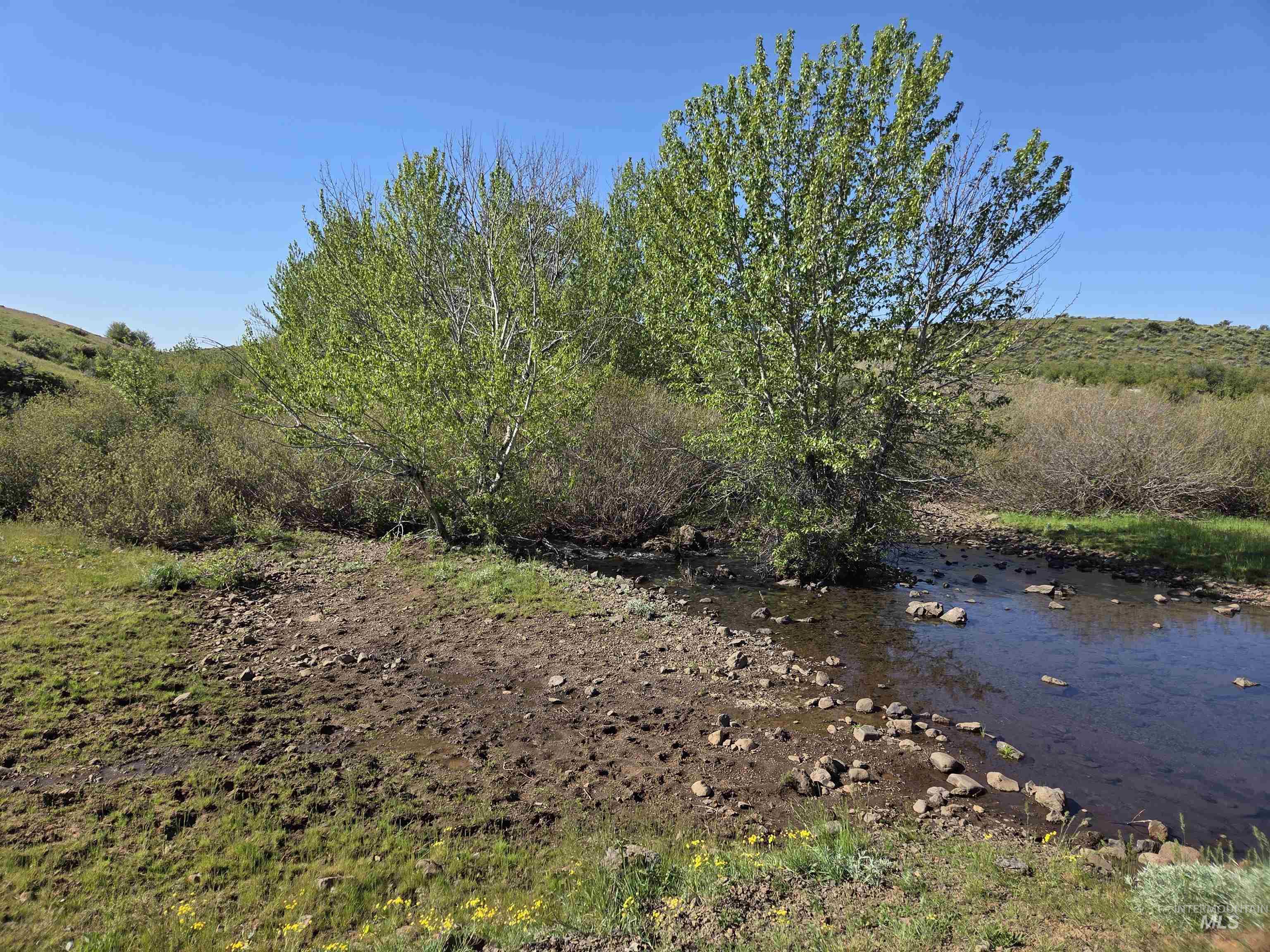 2205 Jackson Creek Rd Property Photo 35