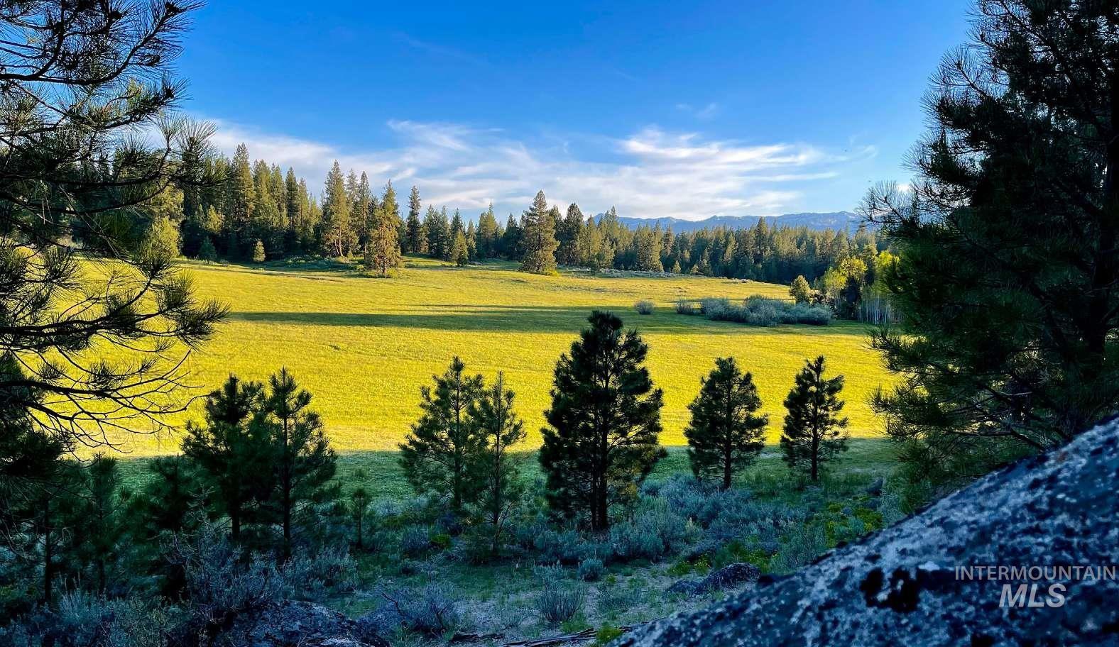 ±1812 Acres Big Creek Meadows Ranch Property Photo 7