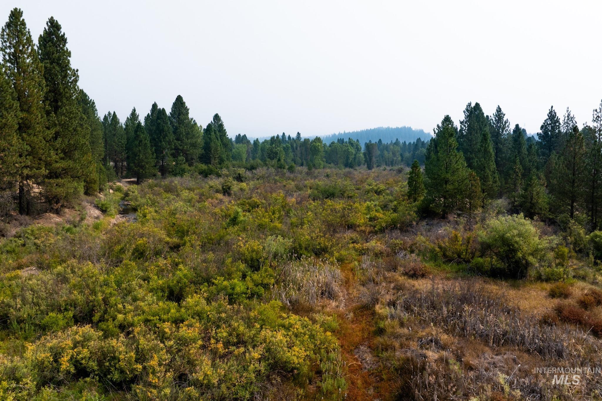 Tbd Highway 21 Property Photo 13