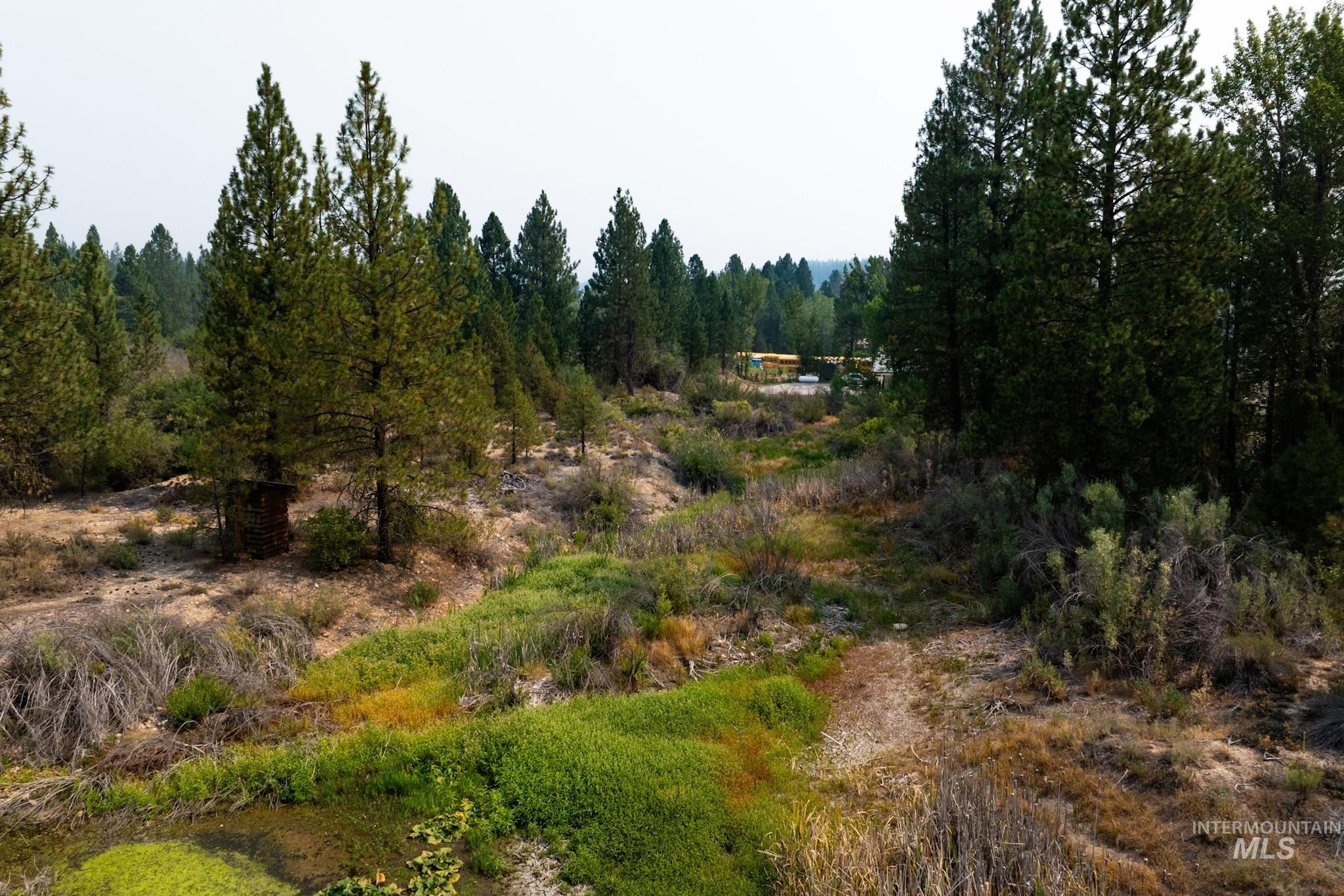 Tbd Highway 21 Property Photo 15