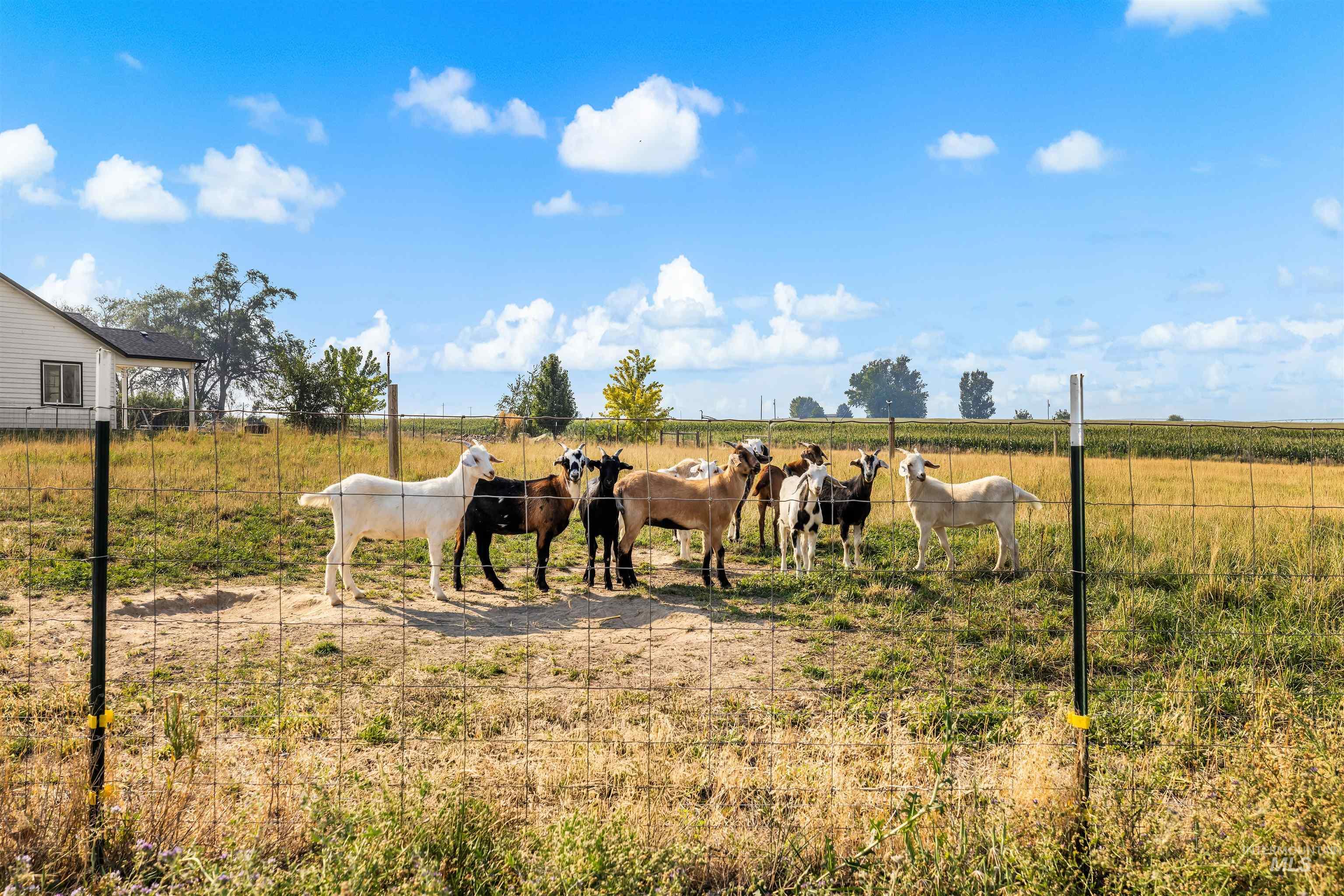 28341 Winecup Ln Property Photo 40