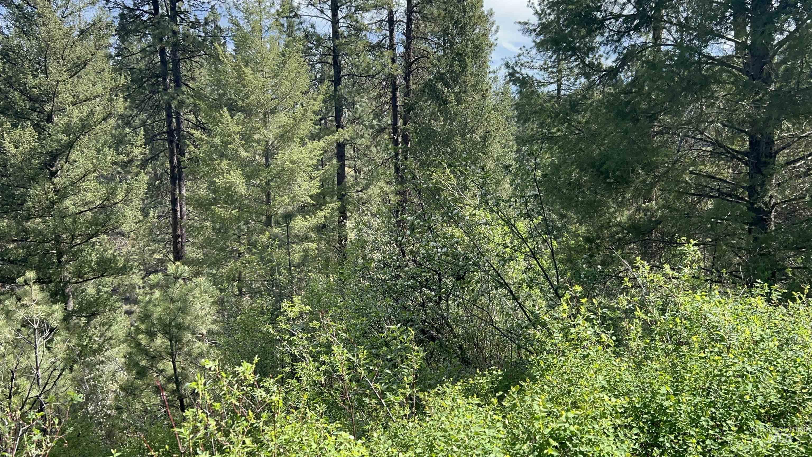 8 Klondike Road Property Photo 4