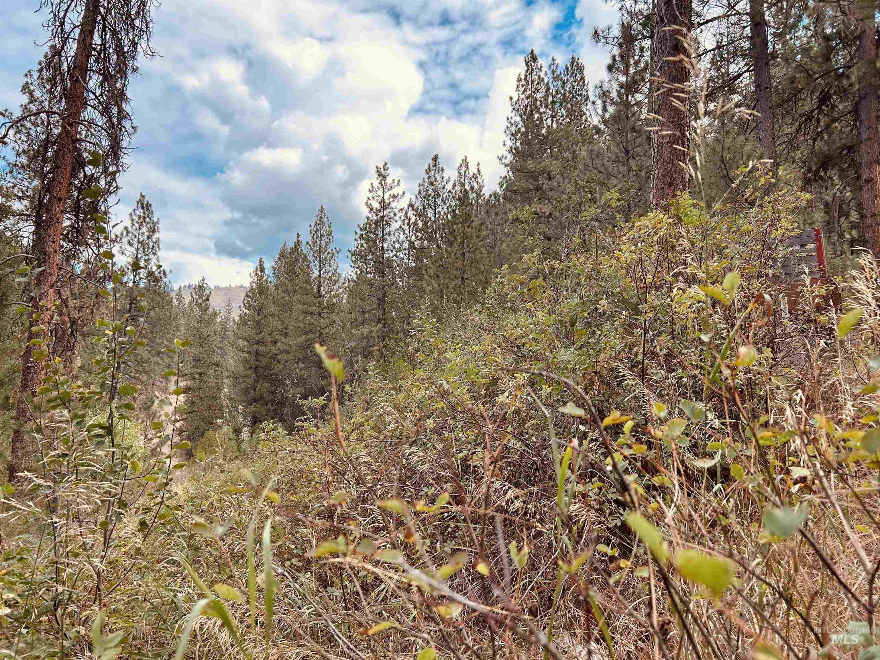 8 Klondike Road Property Photo 7
