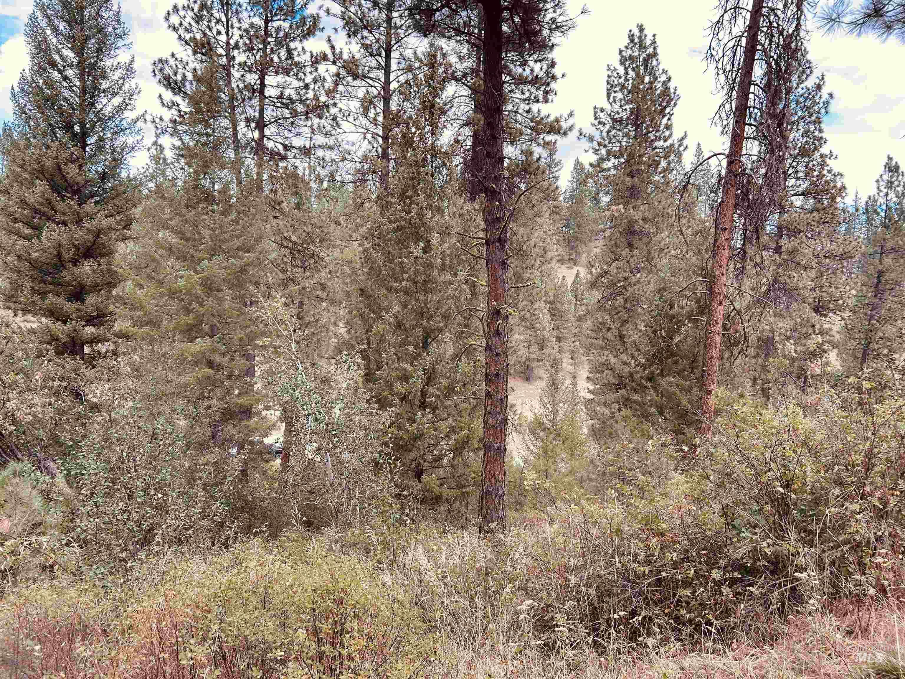 8 Klondike Road Property Photo 8