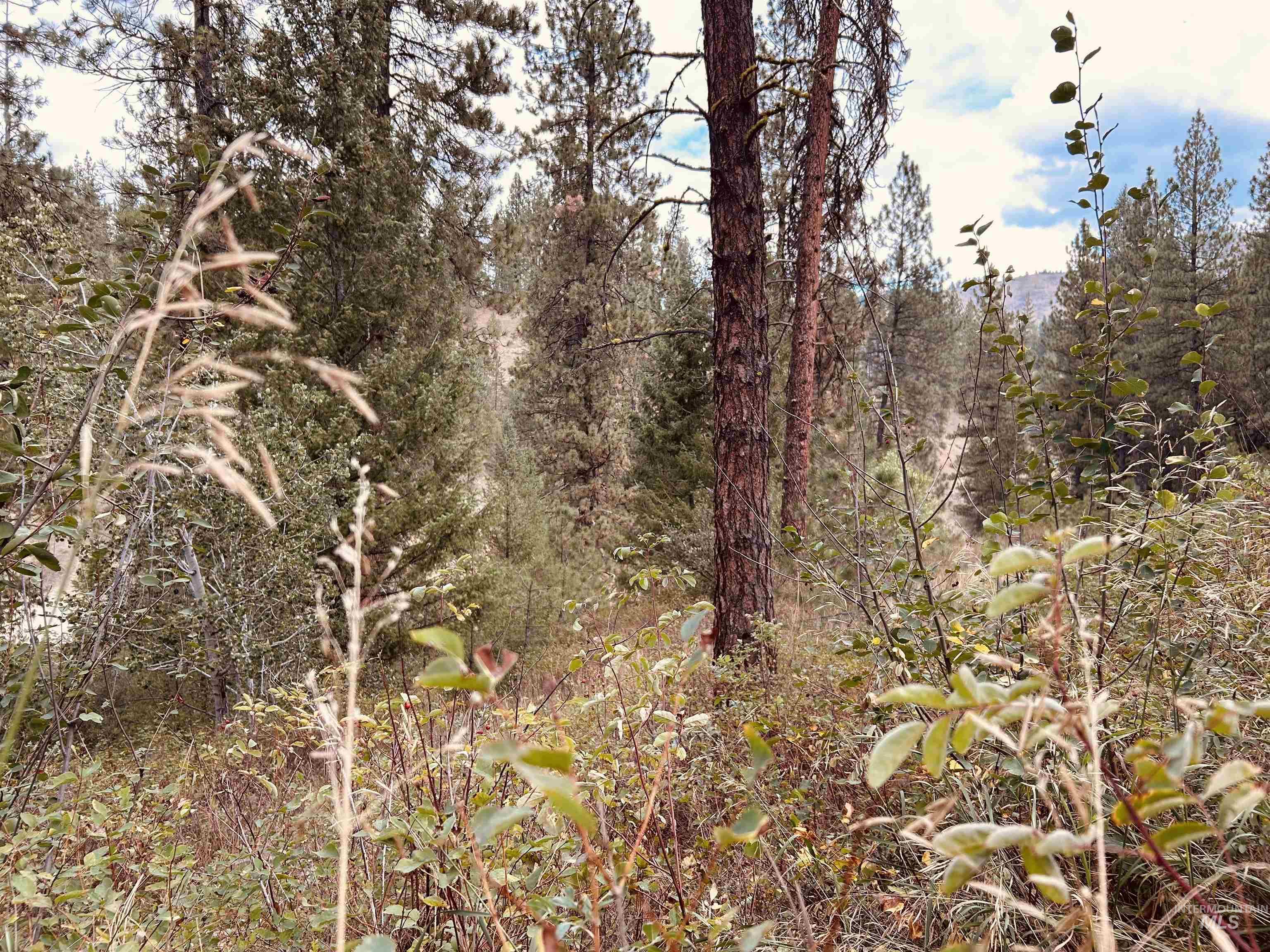 8 Klondike Road Property Photo 9
