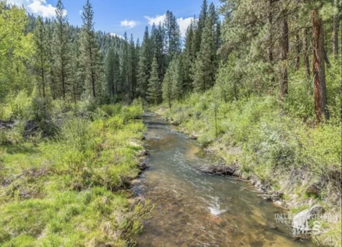 3560 Highway 21 Property Photo 36