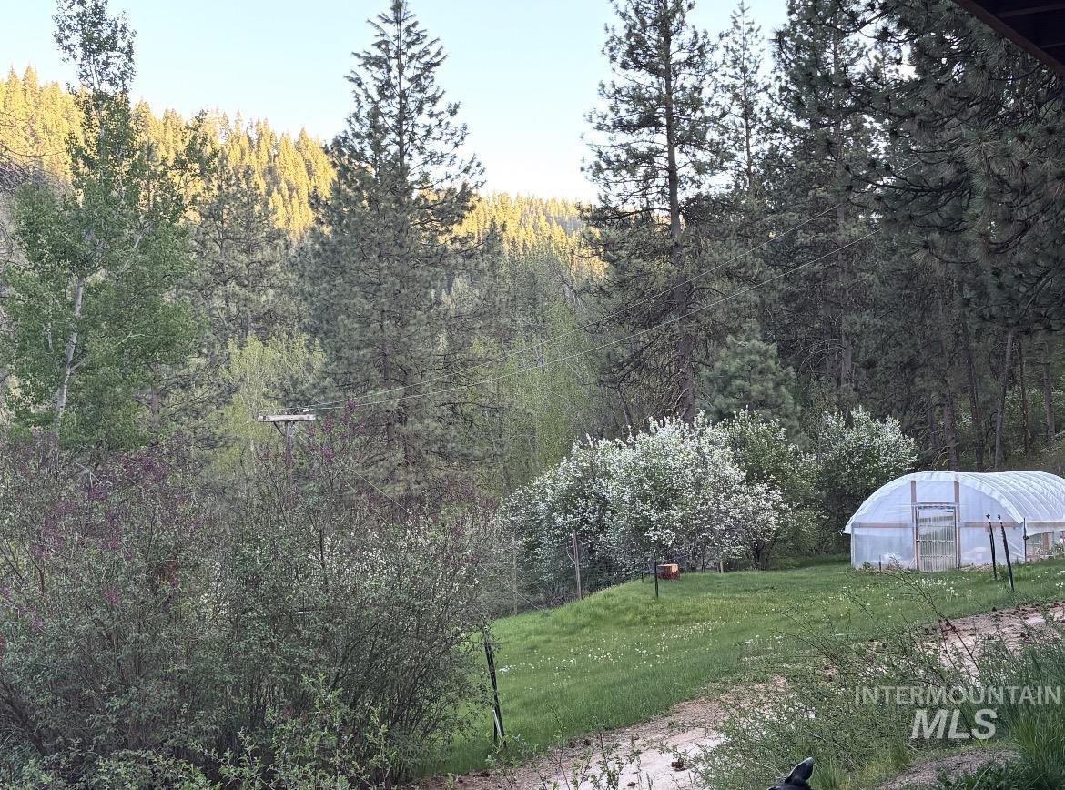 3560 Highway 21 Property Photo 38
