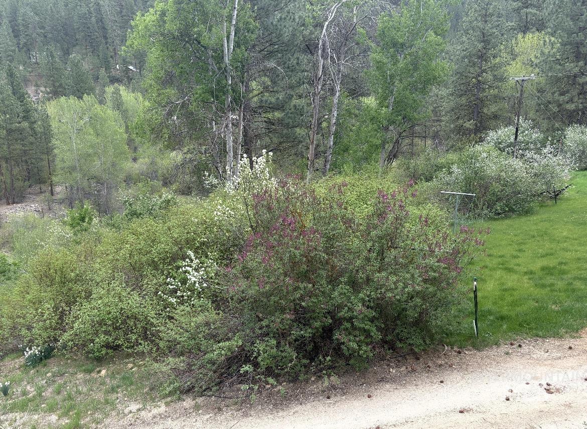 3560 Highway 21 Property Photo 39