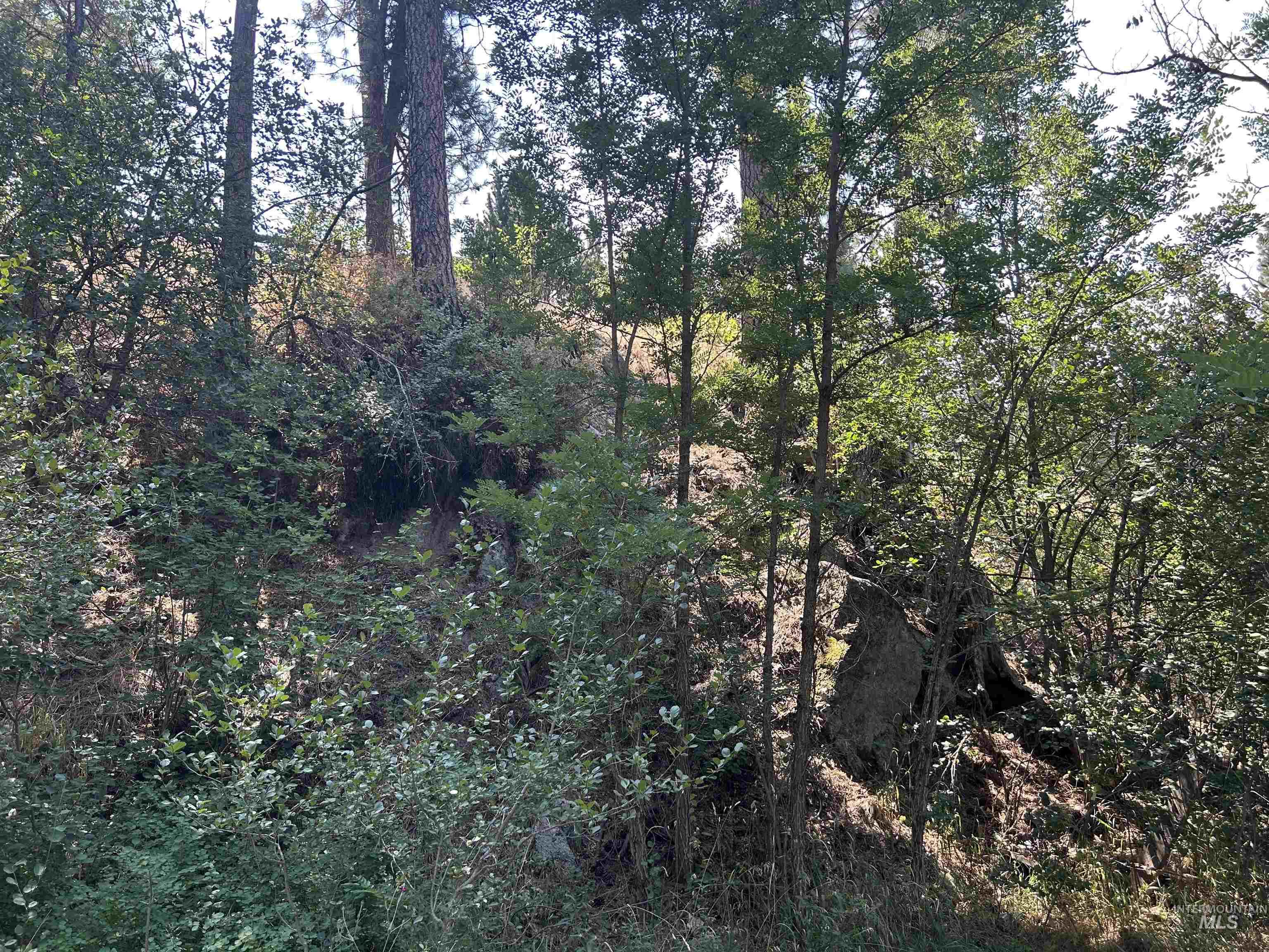 29 River Run Way Property Photo 17