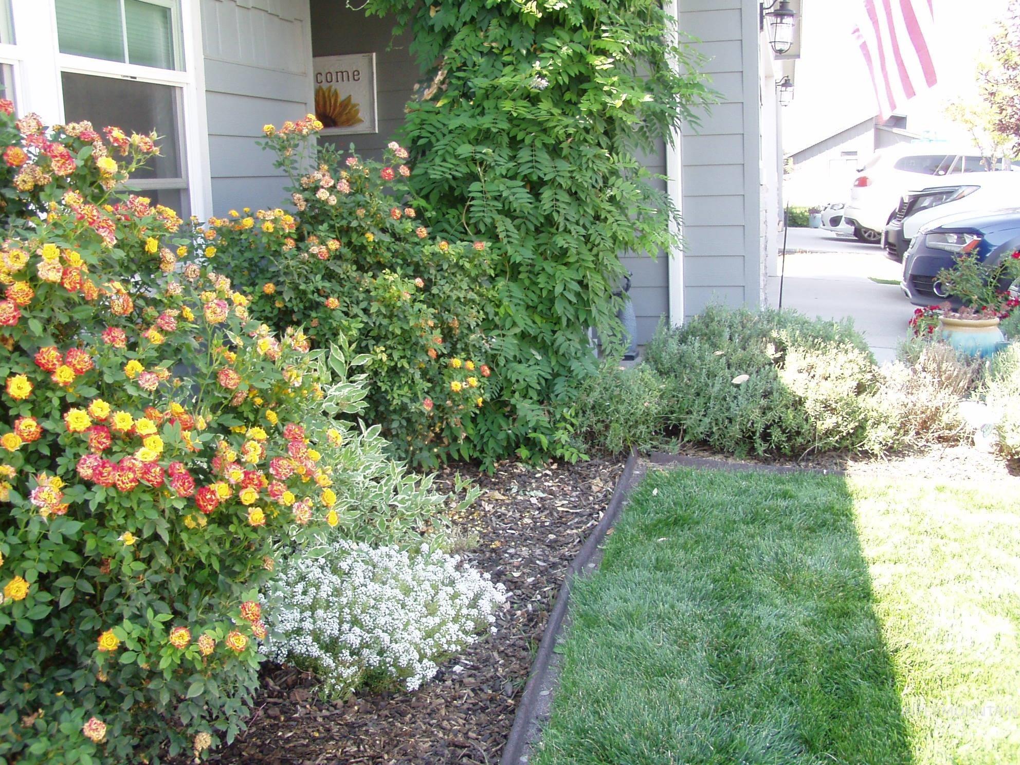13203 S Wind River Ave. Property Photo 29