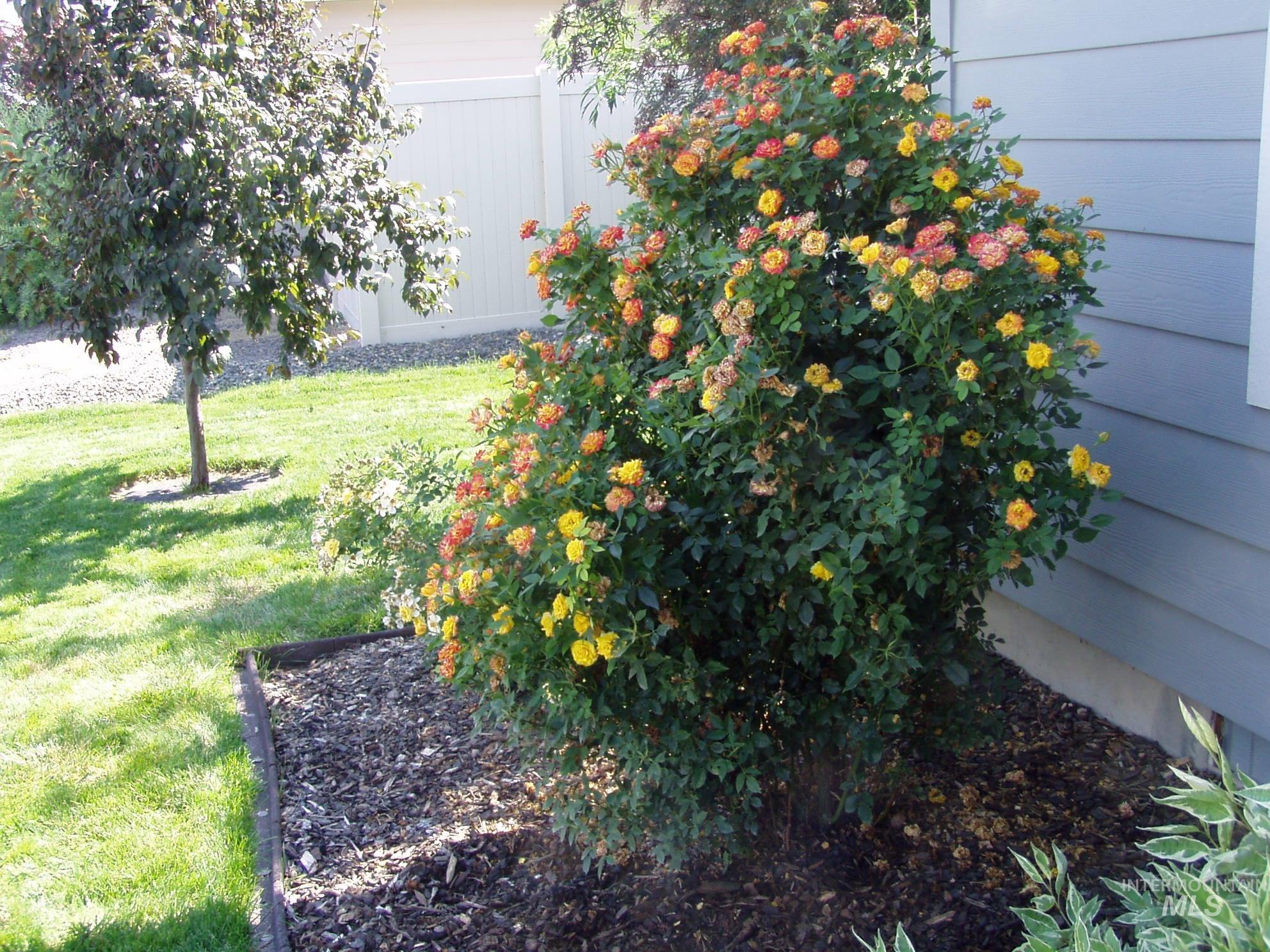 13203 S Wind River Ave. Property Photo 31