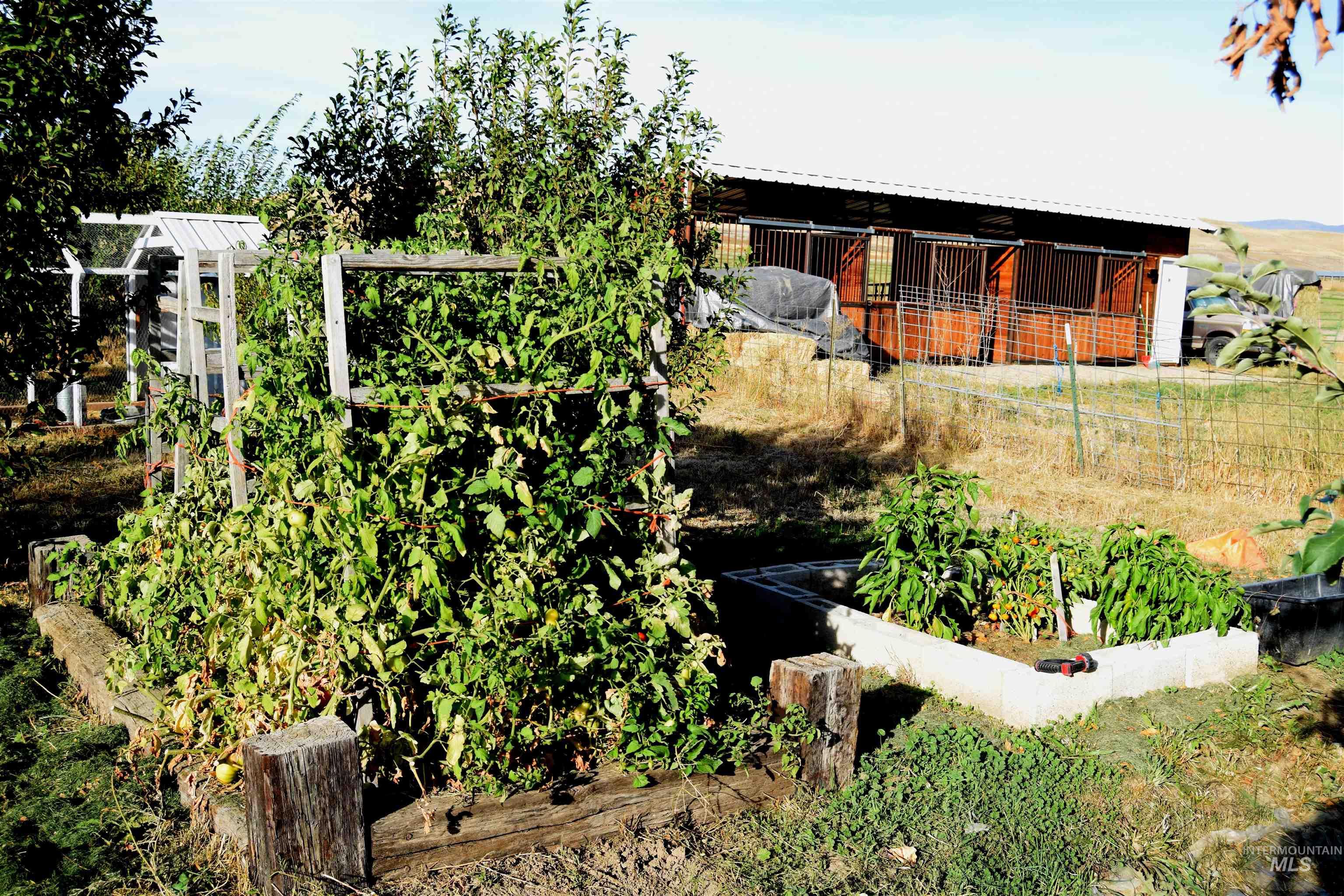 5656 Hillview Road Property Photo 4