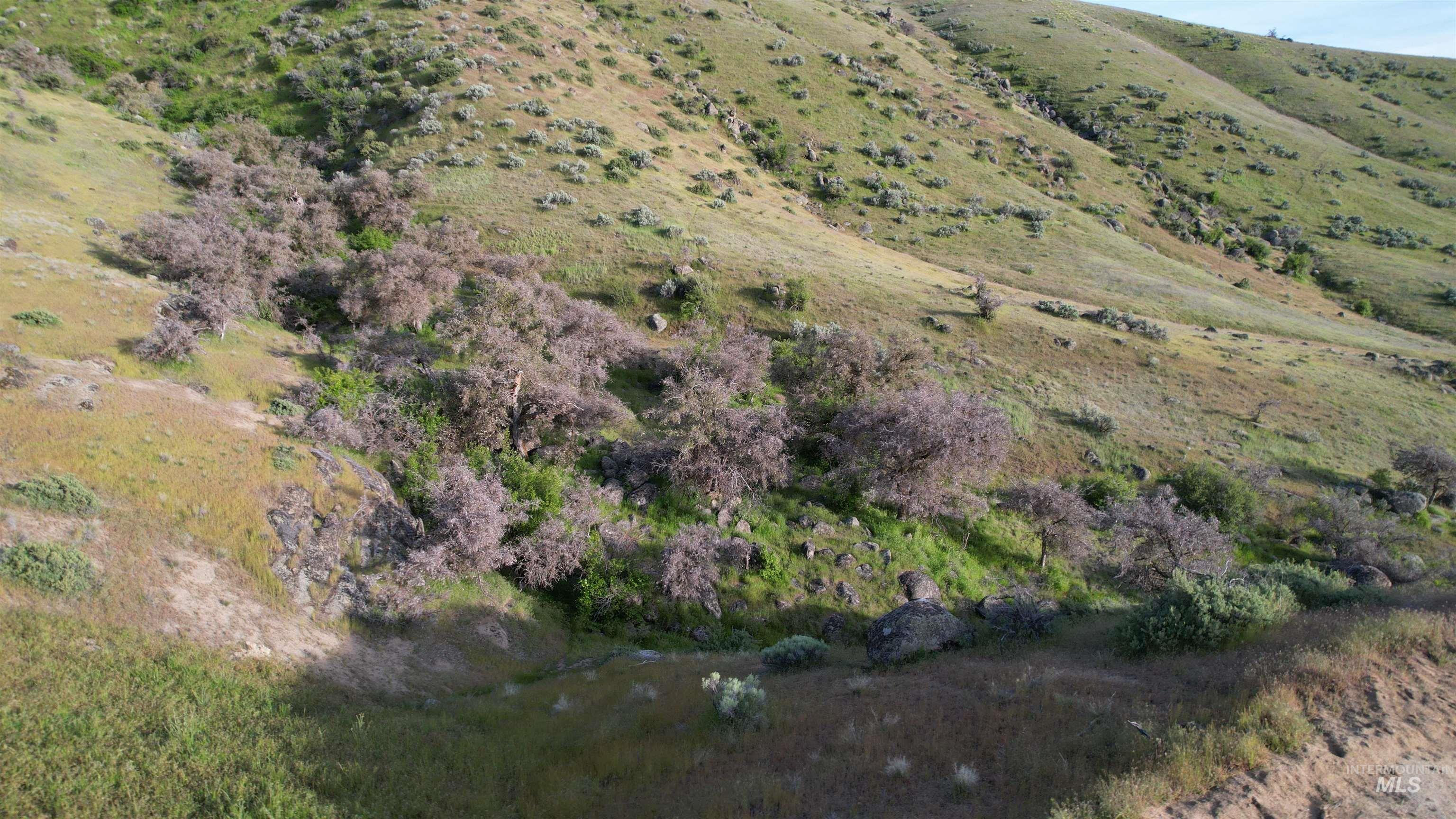 Lot 2 Prarie Lane Property Photo 37