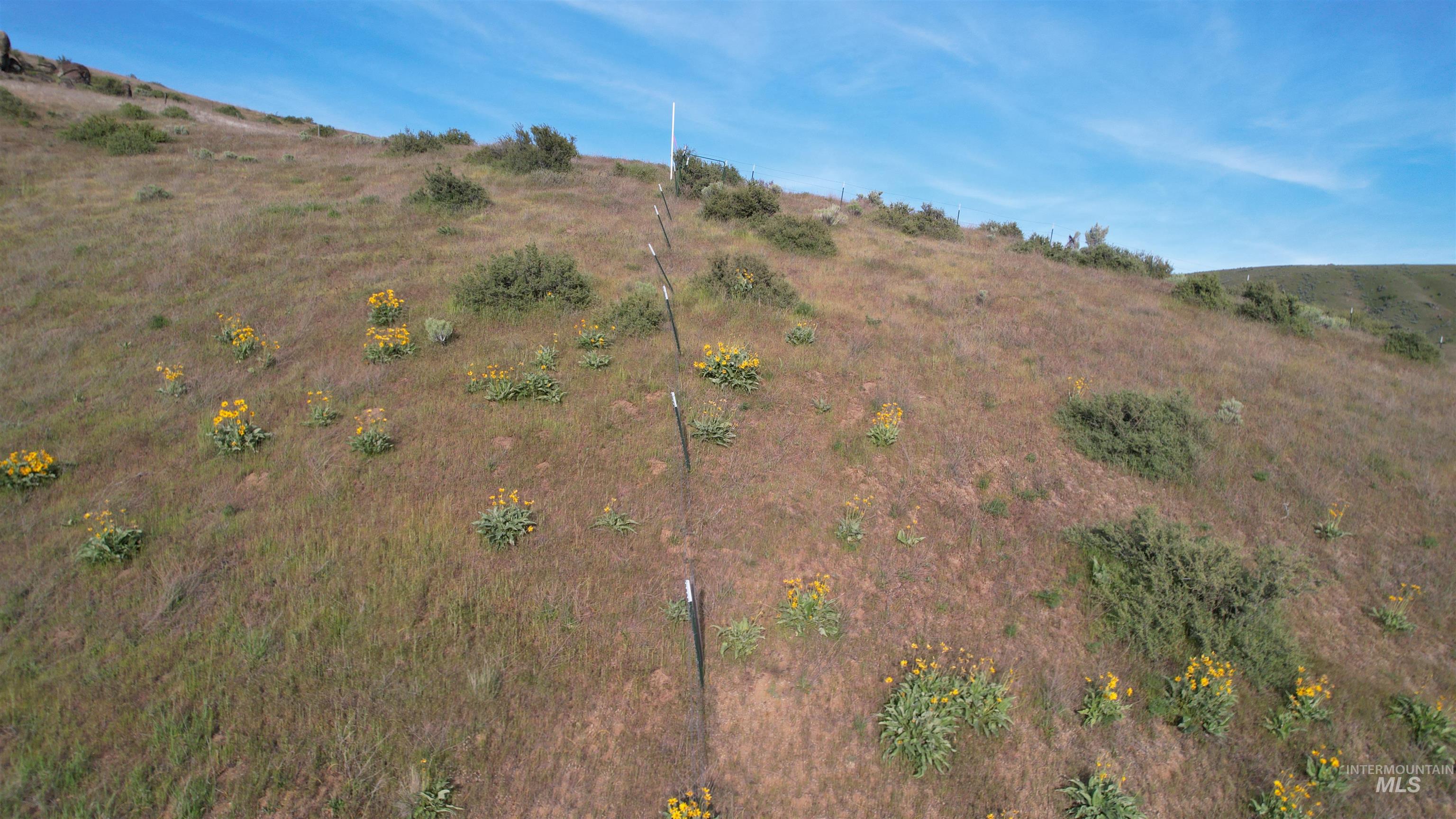 Lot 4 Prarie Lane Property Photo 29