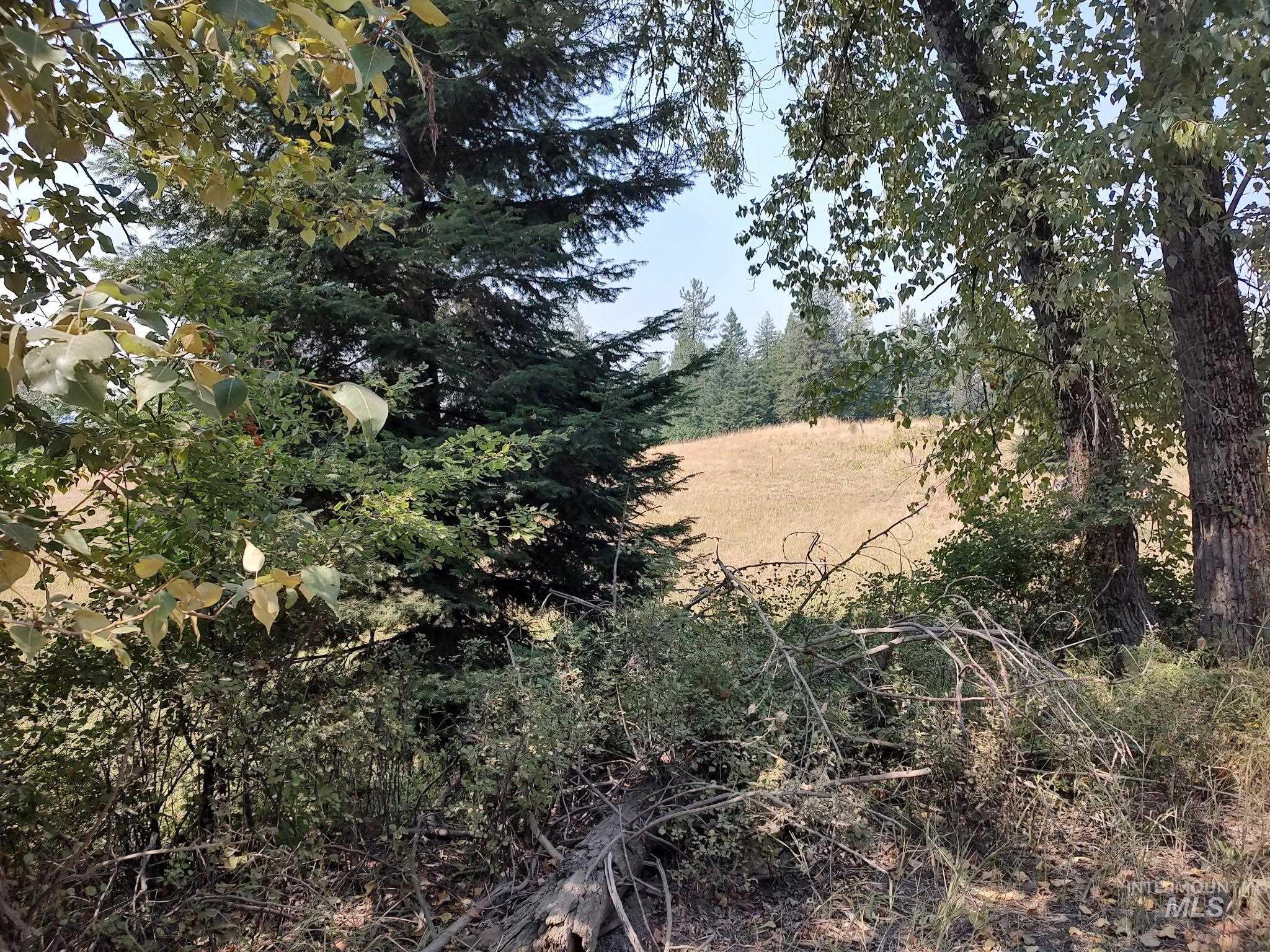 000 Clear Creek 3 Ac Property Photo 3