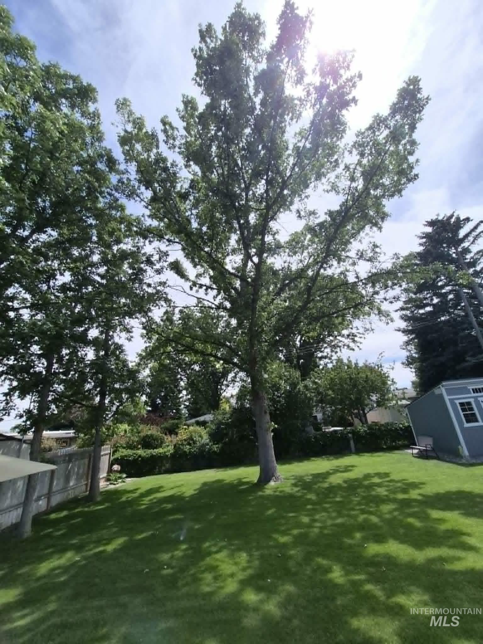 479 Crestview Dr. Property Photo 18