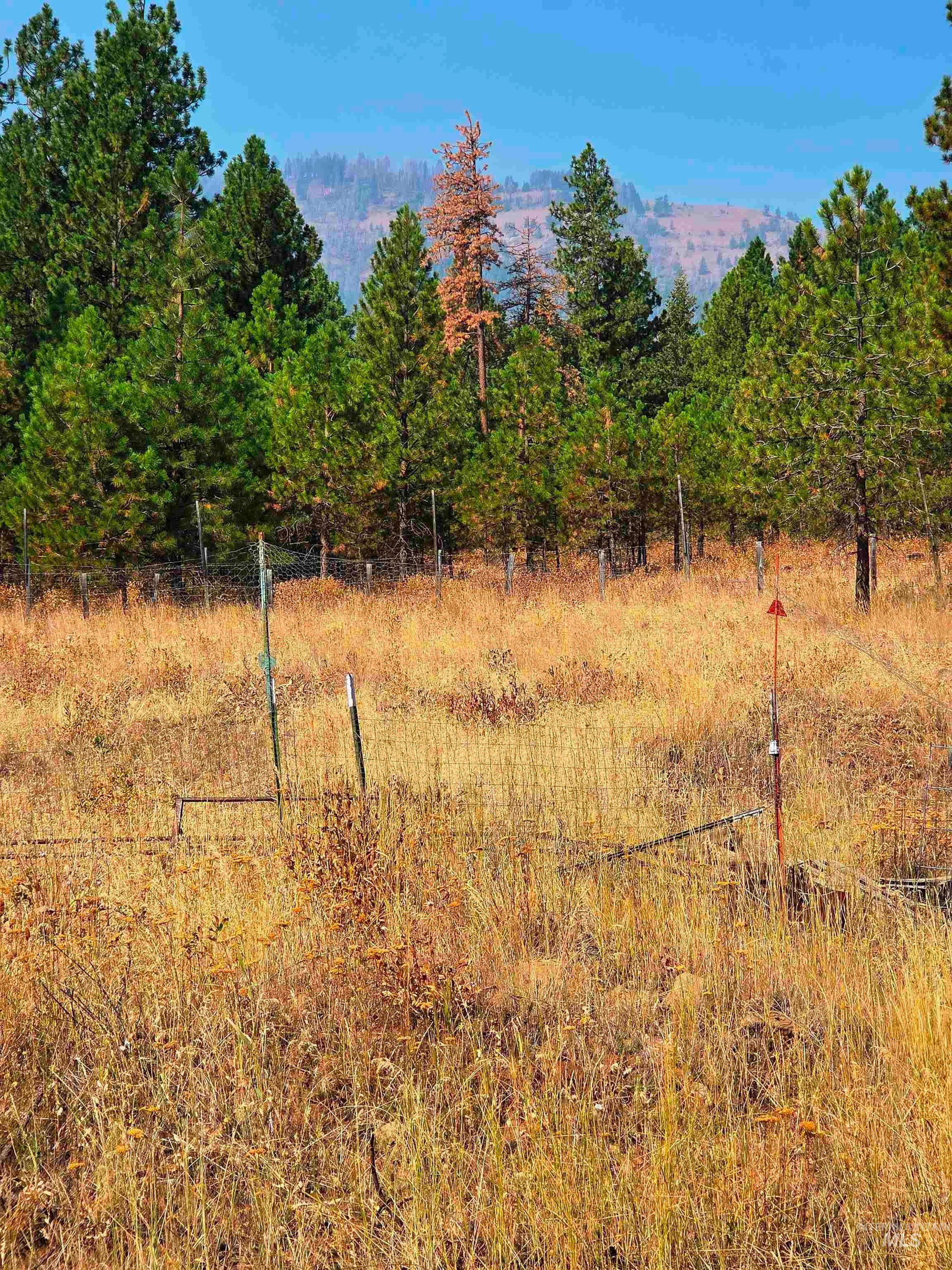 2850 Council Cuprum Property Photo 21