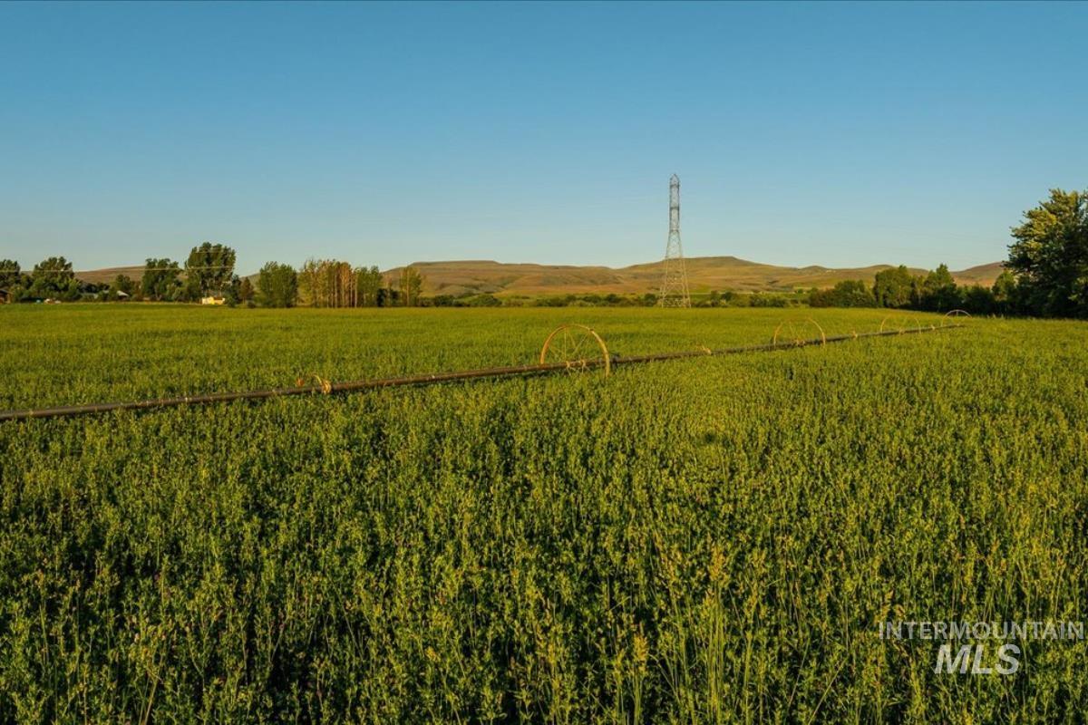 Tbd Bonner Road Property Photo 25