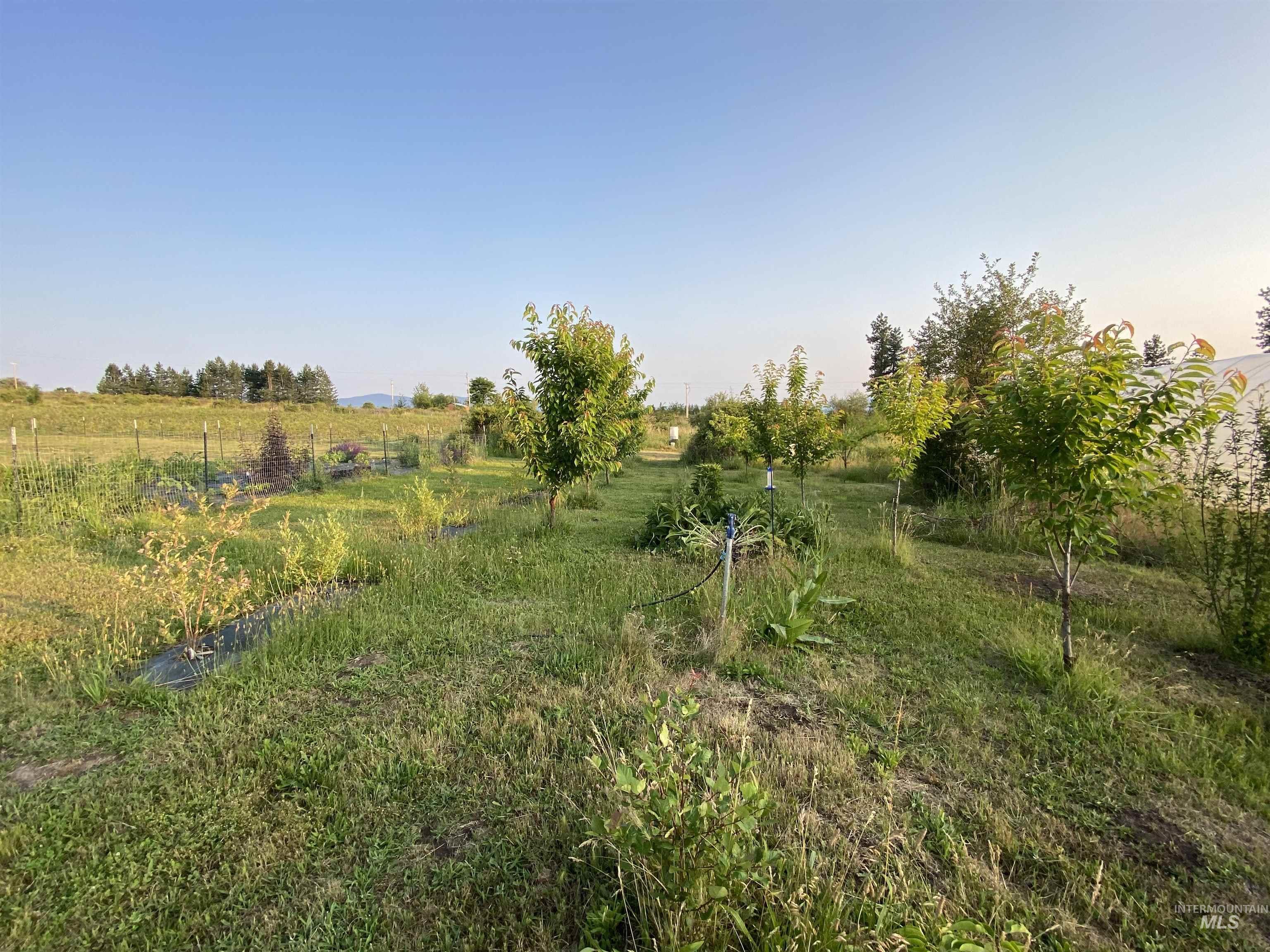 110 Abiding Way Property Photo 33
