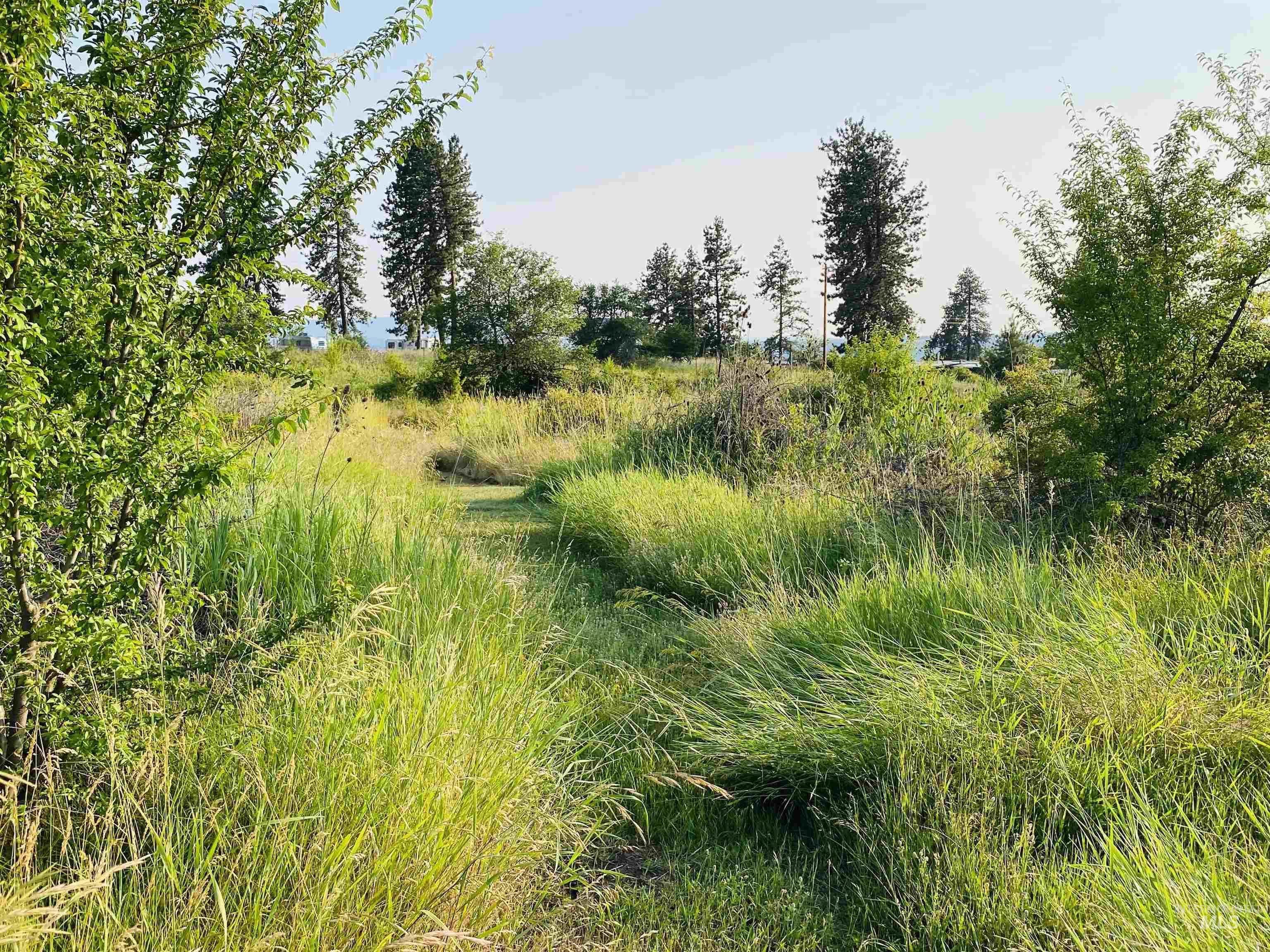 110 Abiding Way Property Photo 34