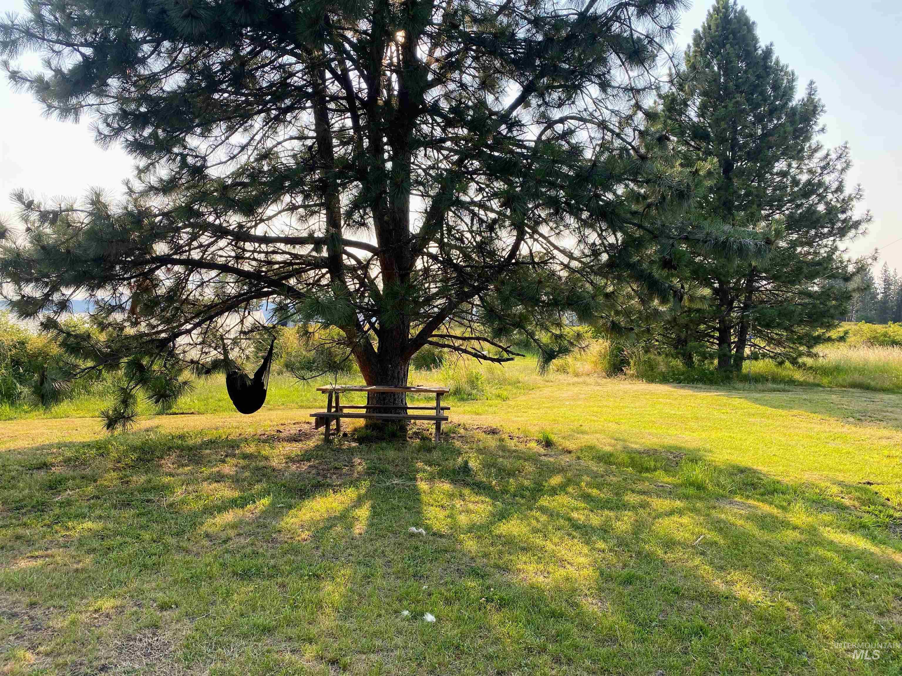 110 Abiding Way Property Photo 35