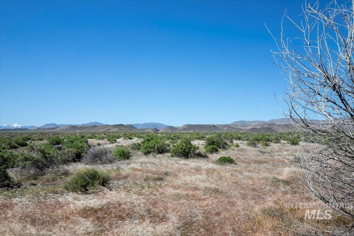 18663 Highway 78 Property Photo 48