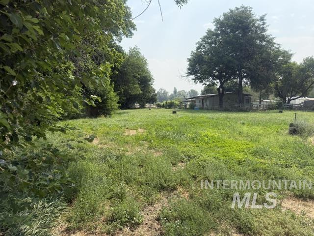 377 S Davis Rd Property Photo 5