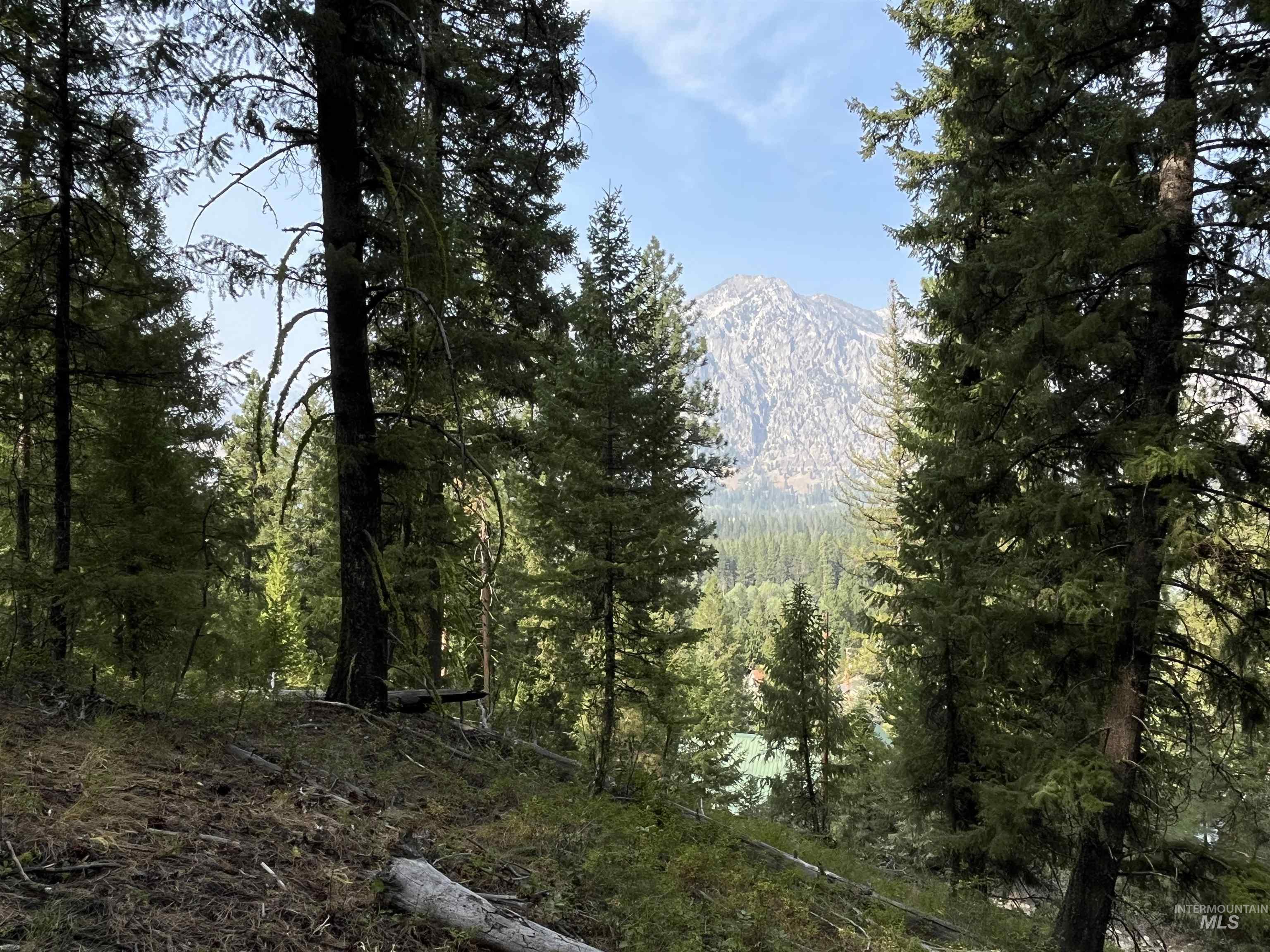 Tbd Alturas Property Photo 1