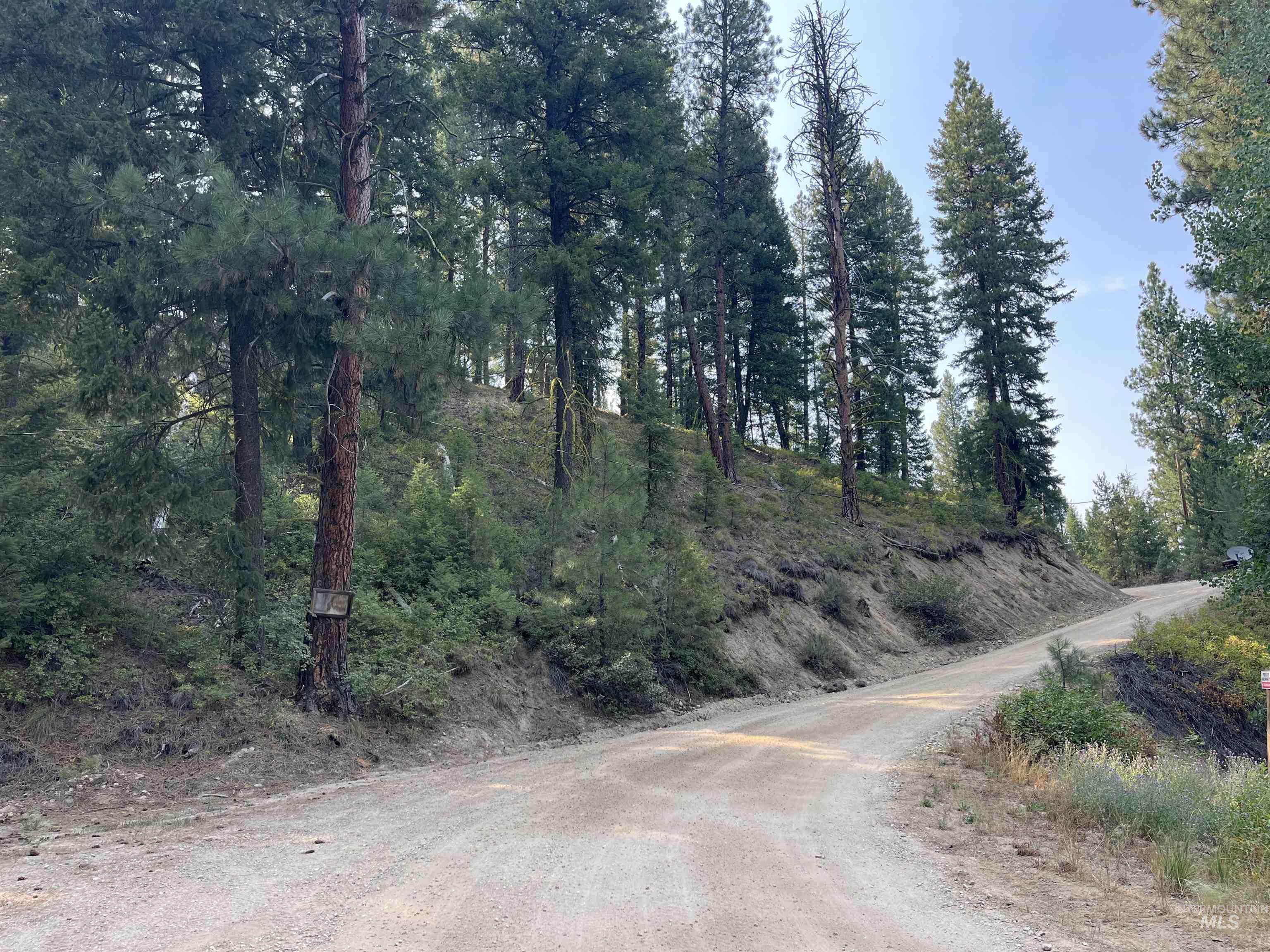 Tbd Alturas Property Photo 3