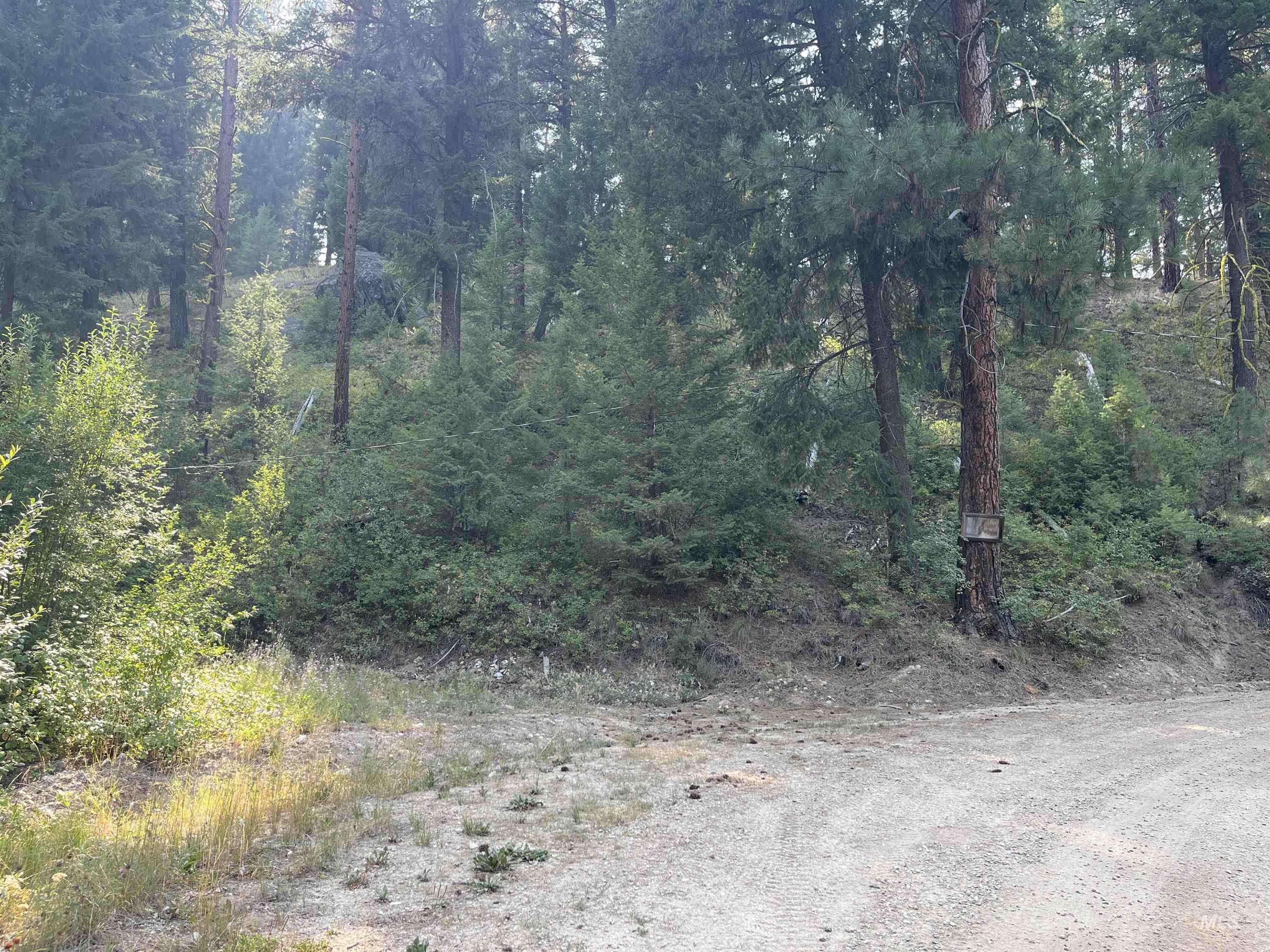 Tbd Alturas Property Photo 5