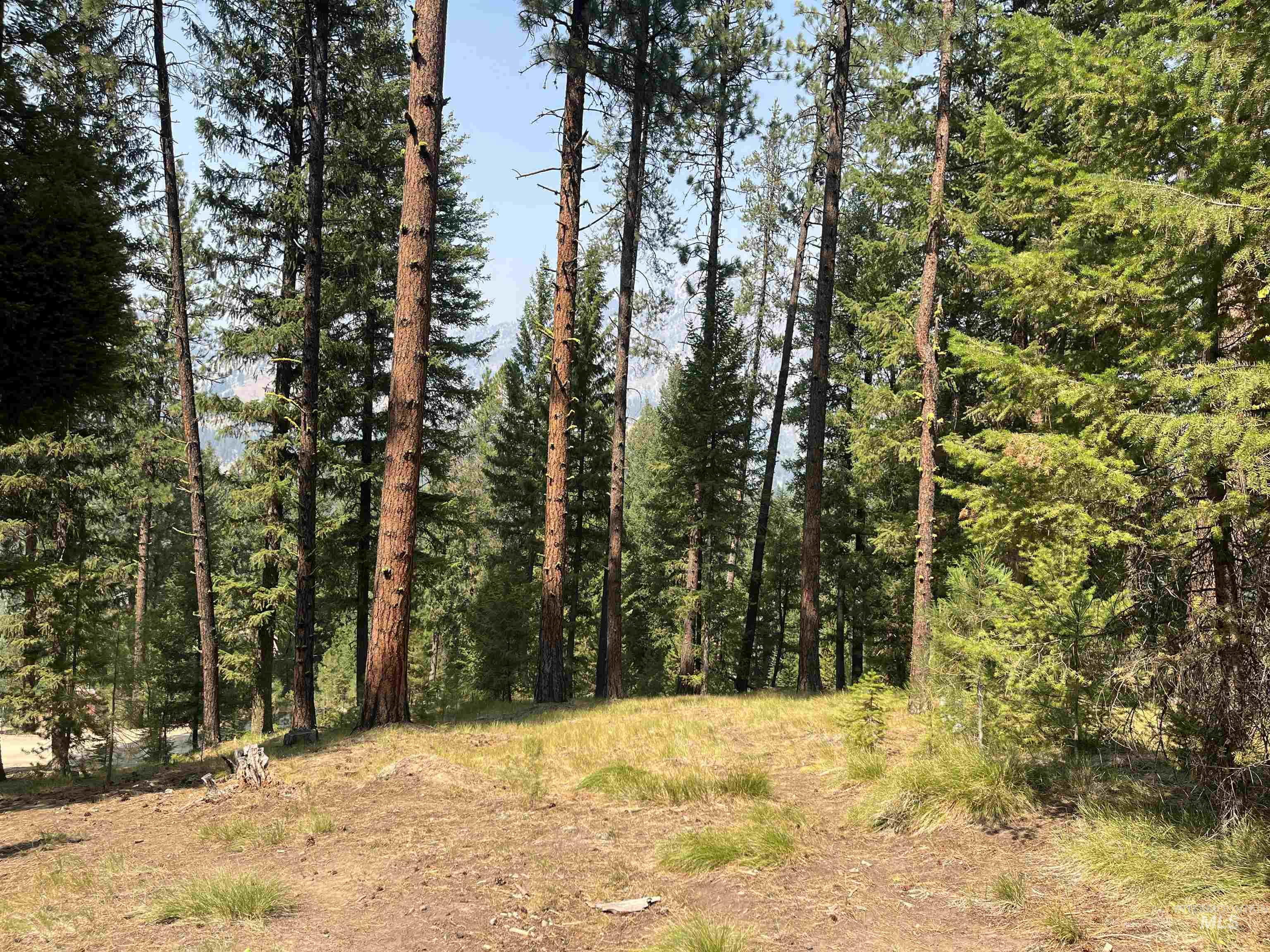 Tbd Alturas Property Photo 6