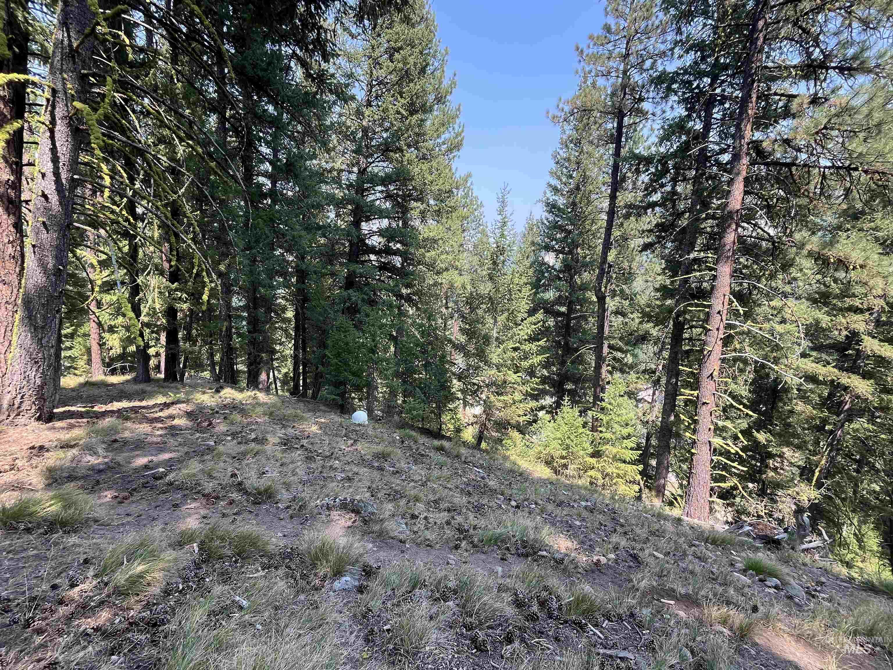Tbd Alturas Property Photo 7
