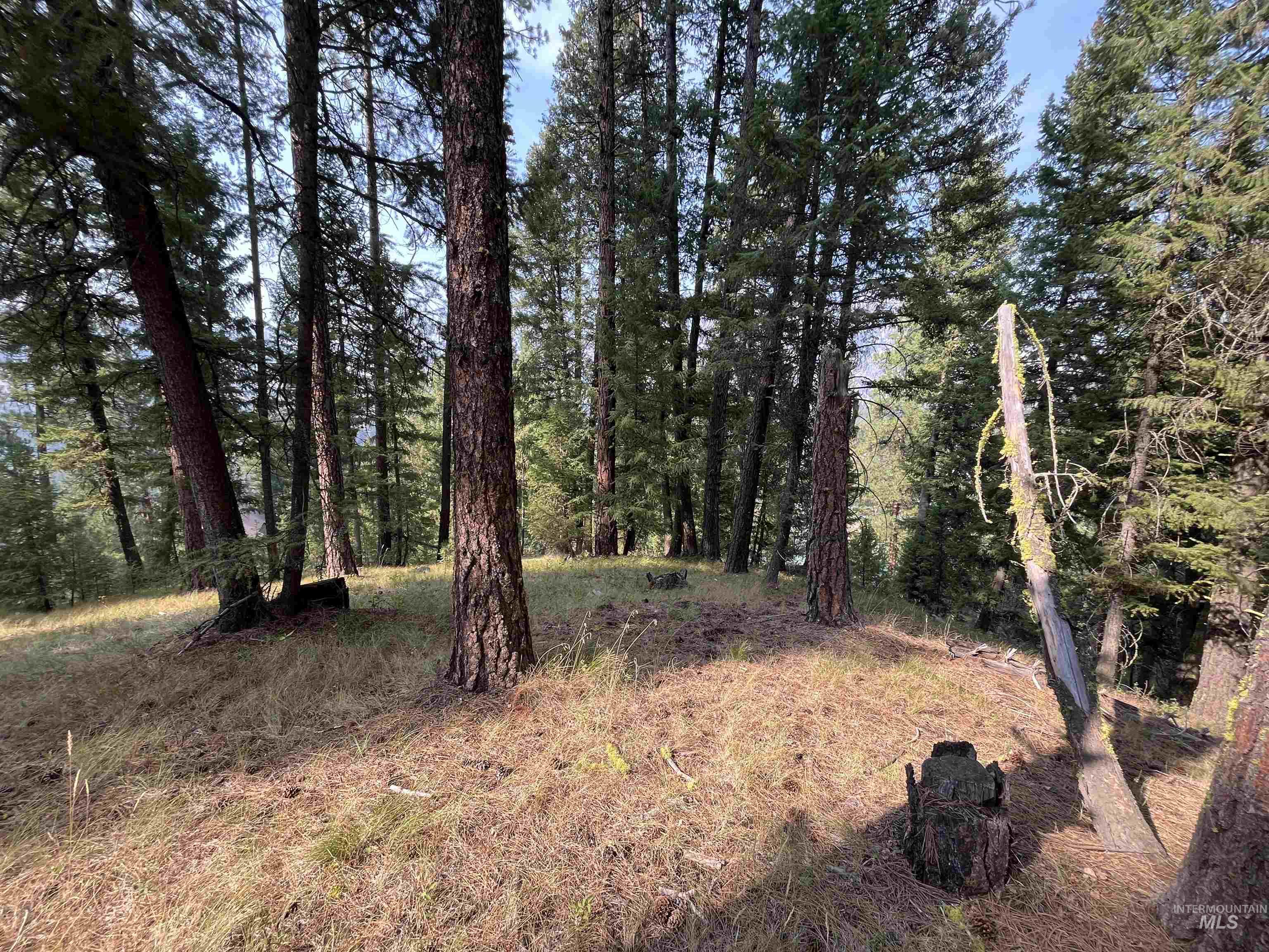 Tbd Alturas Property Photo 8