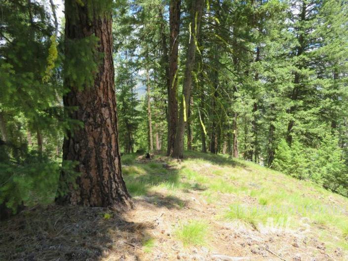 Tbd Alturas Property Photo 10