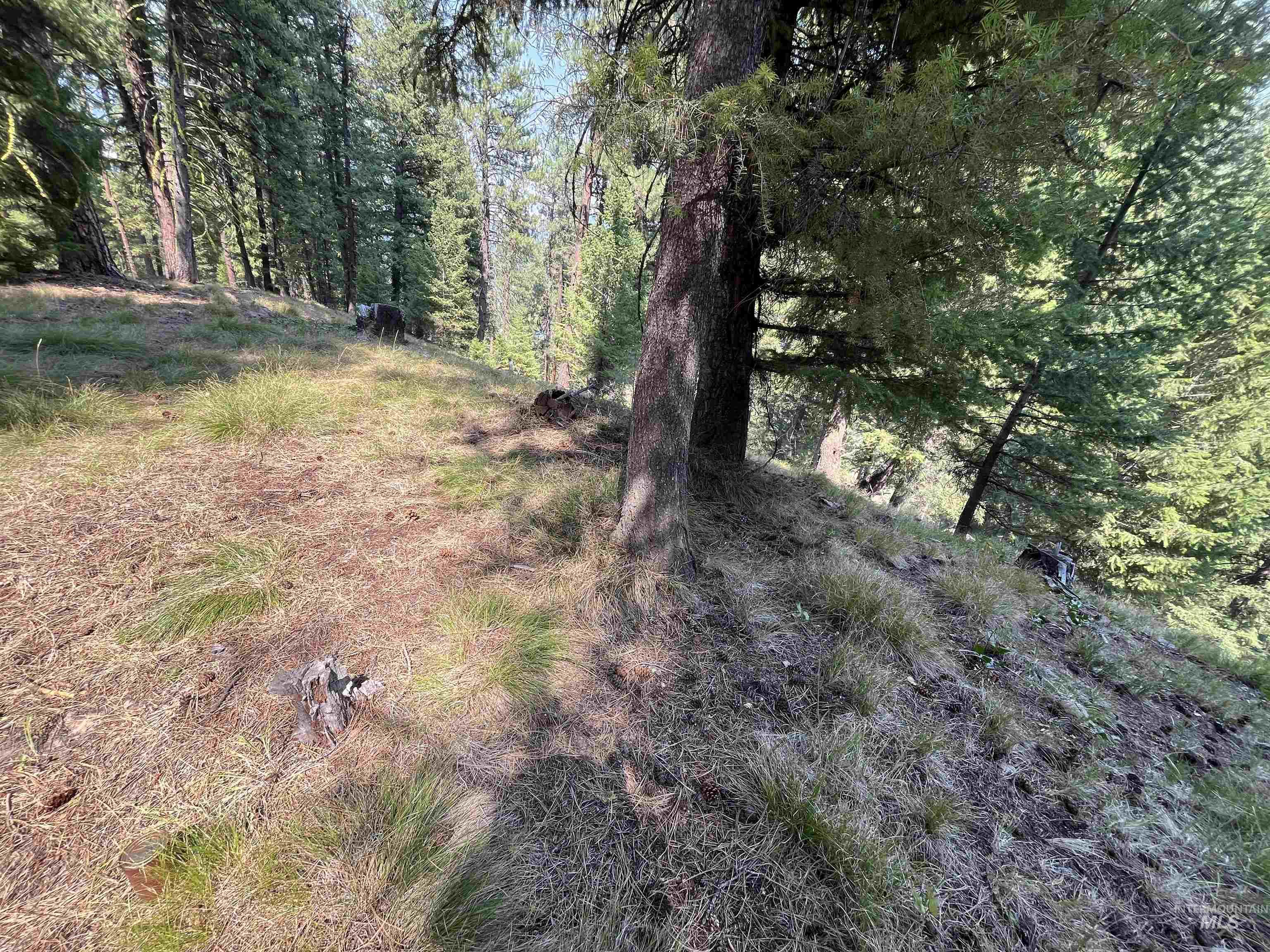 Tbd Alturas Property Photo 11