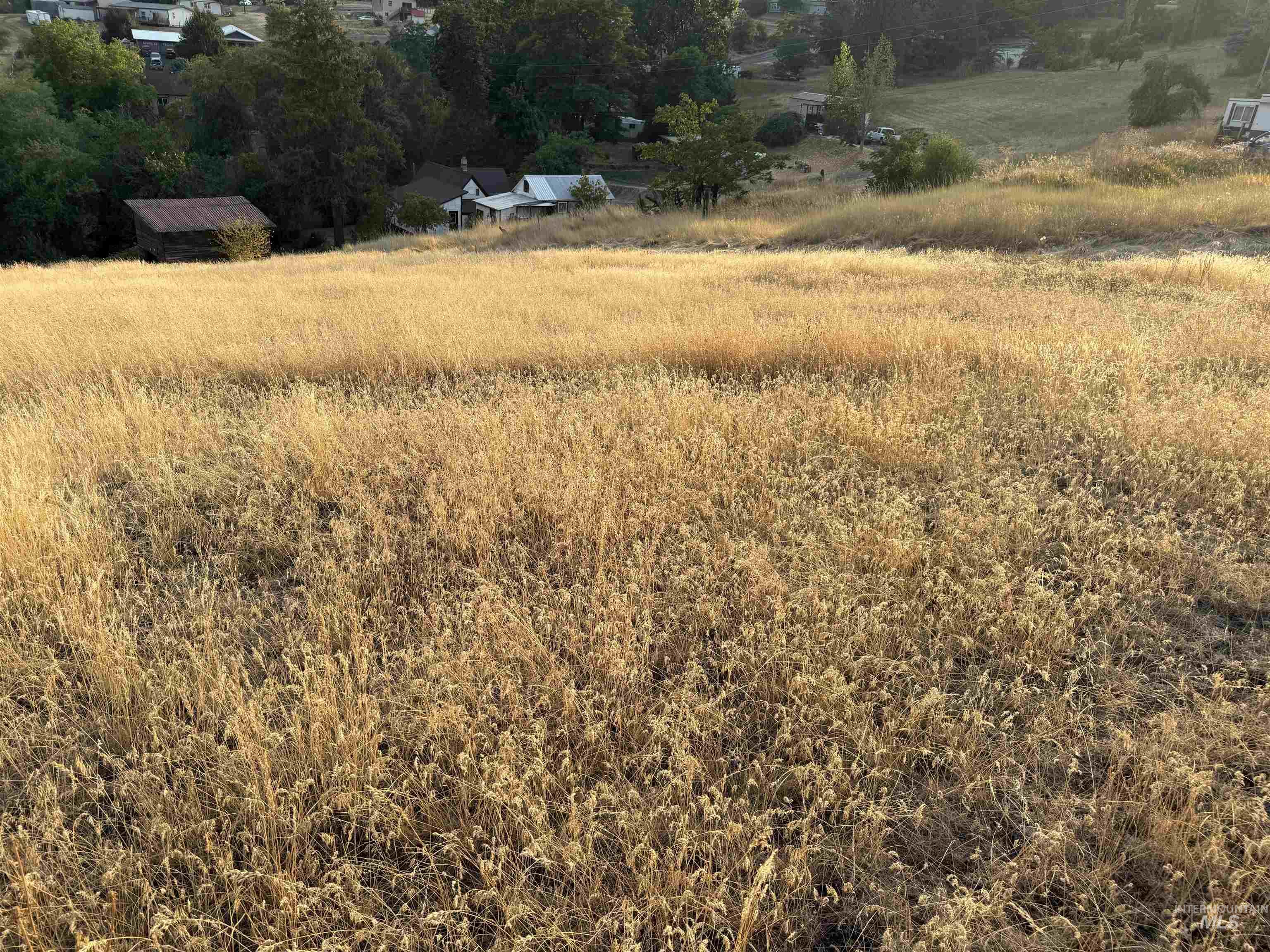 Tbd Mccall St Property Photo 8