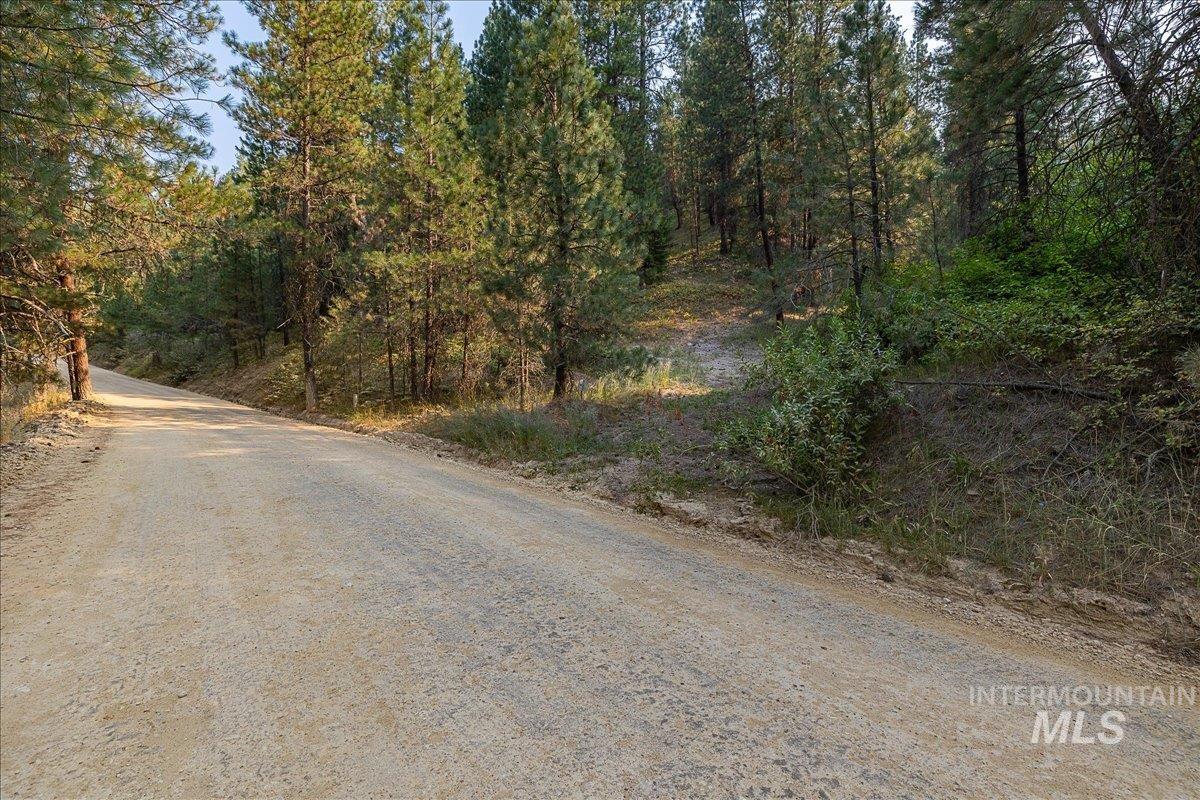 Tbd Robie Creek Rd Property Photo 5