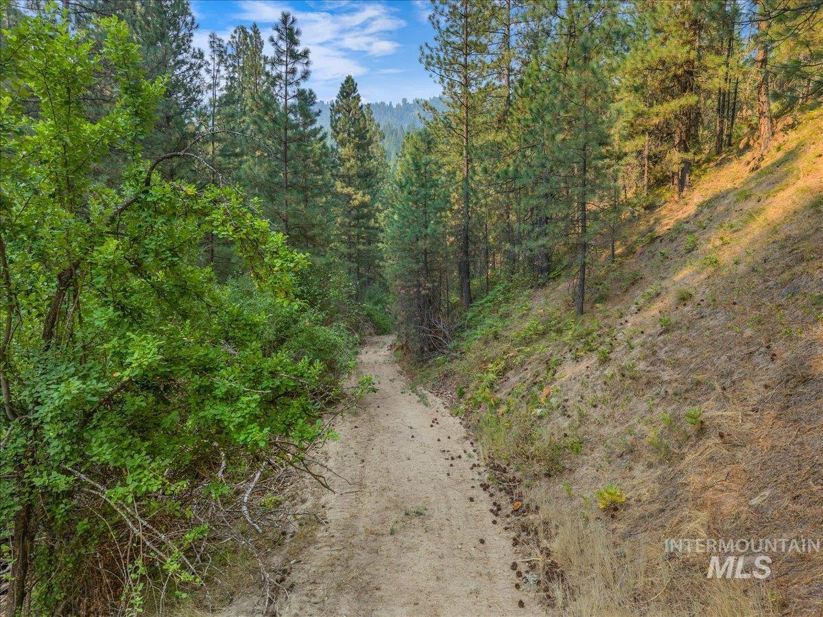 Tbd Robie Creek Rd Property Photo 6