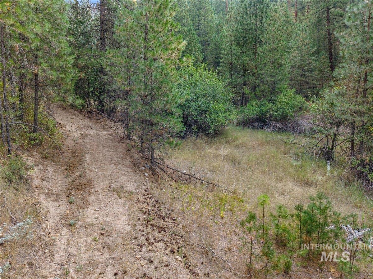 Tbd Robie Creek Rd Property Photo 7
